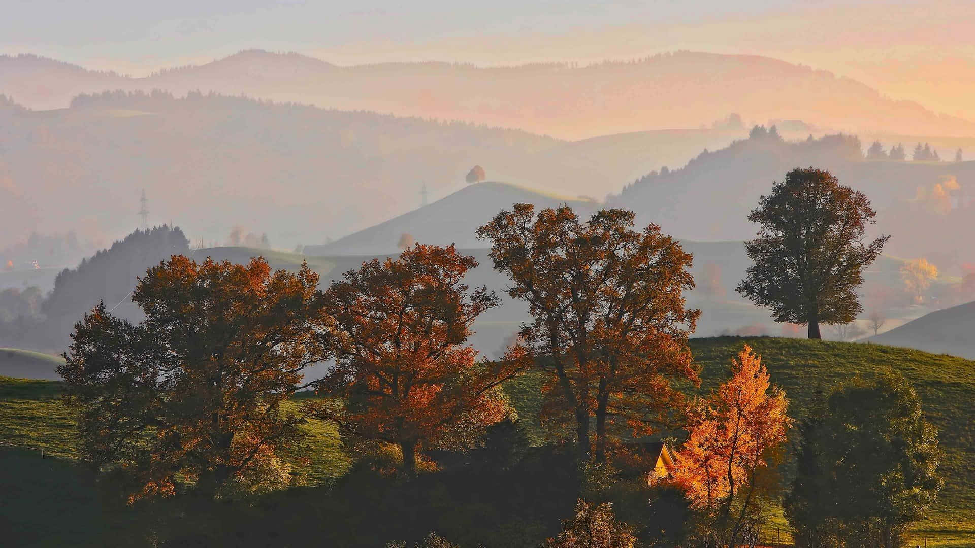 Sonbaharın güzelliğinin tadını bu çarpıcı Estetik Sonbahar renkleri ve manzaralarıyla çıkarın. Duvar Kağıdı