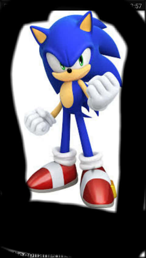 Sonic the Hedgehog Ayakta Duruş Duvar Kağıdı