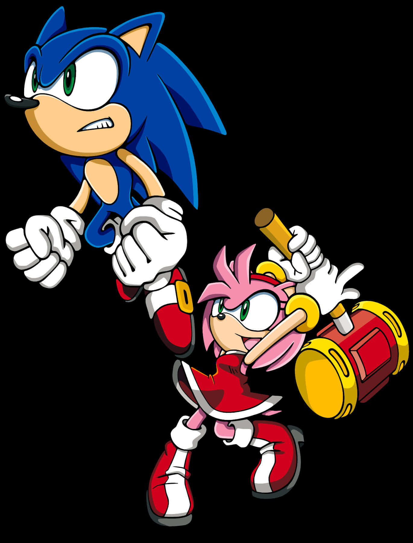 Sonic ve Amy Rose Karakterleri Duvar Kağıdı