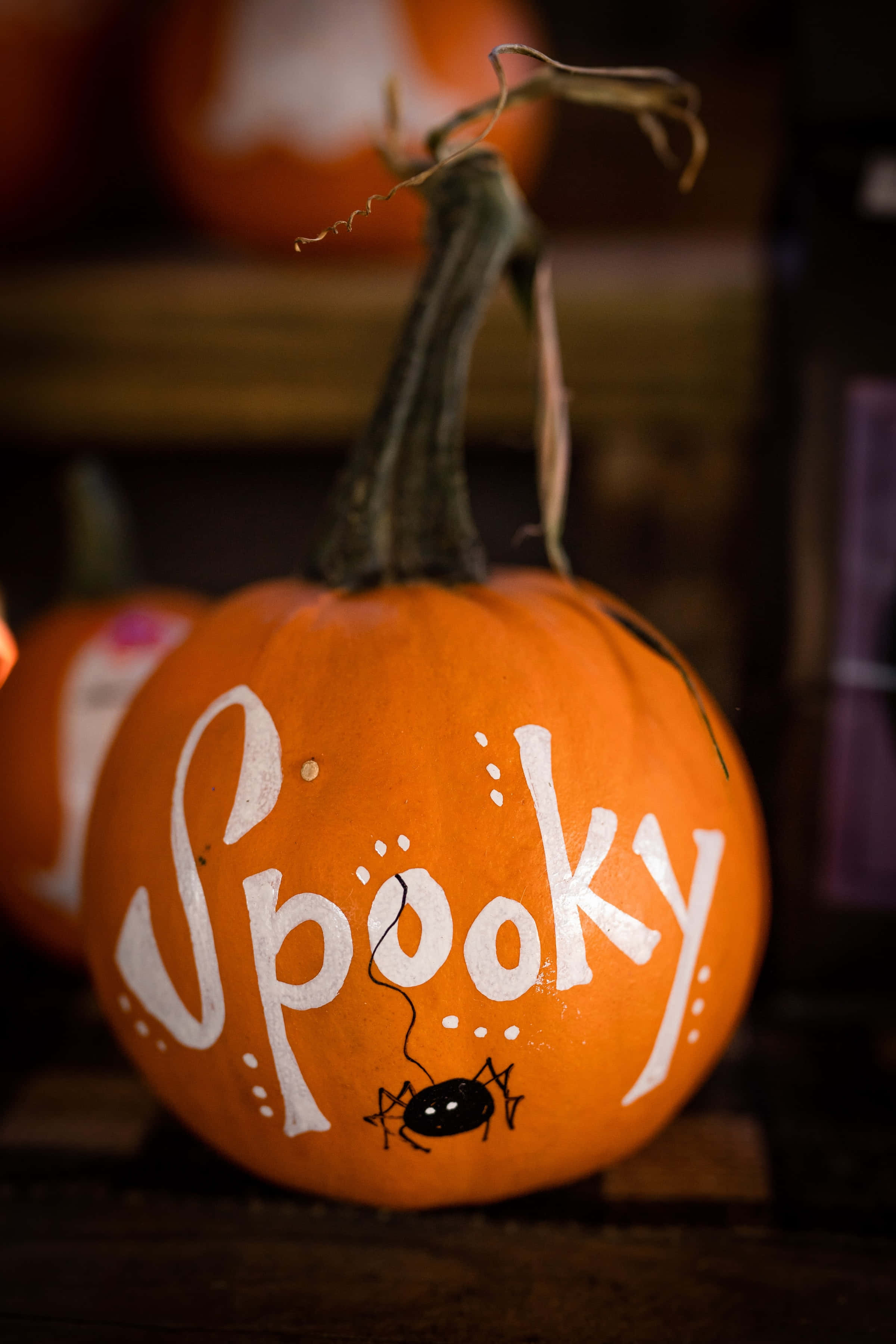 Spooky Pumpkin Yüksek Çözünürlüklü Cadılar Bayramı Arka Planı Duvar Kağıdı