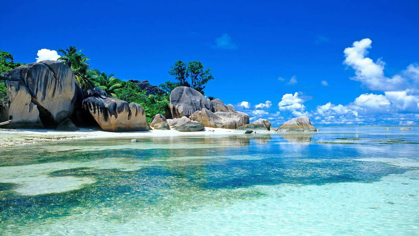 Sri Lanka'da HD Plaj Adası Duvar Kağıdı