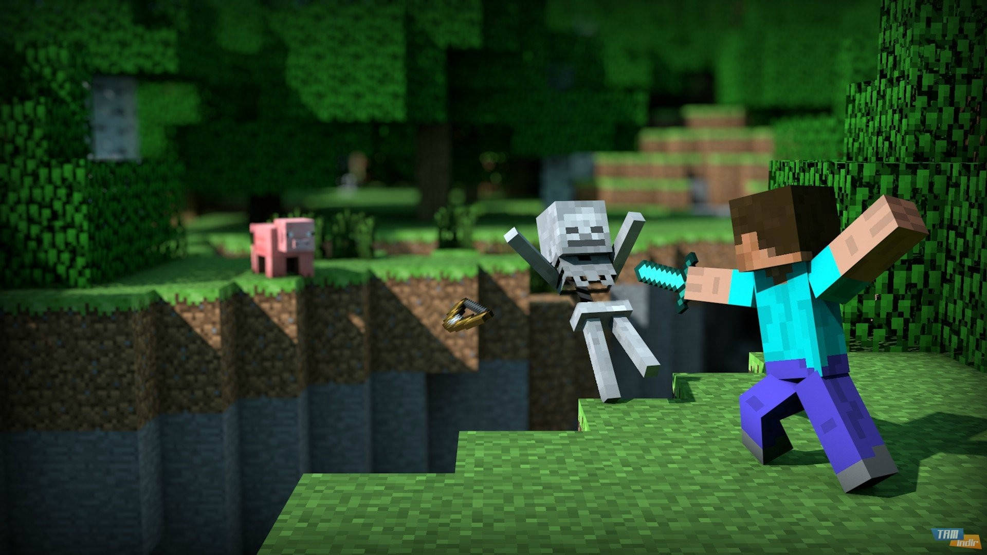 Steve Bir İskeletle Savaşıyor Minecraft HD Duvar Kağıdı