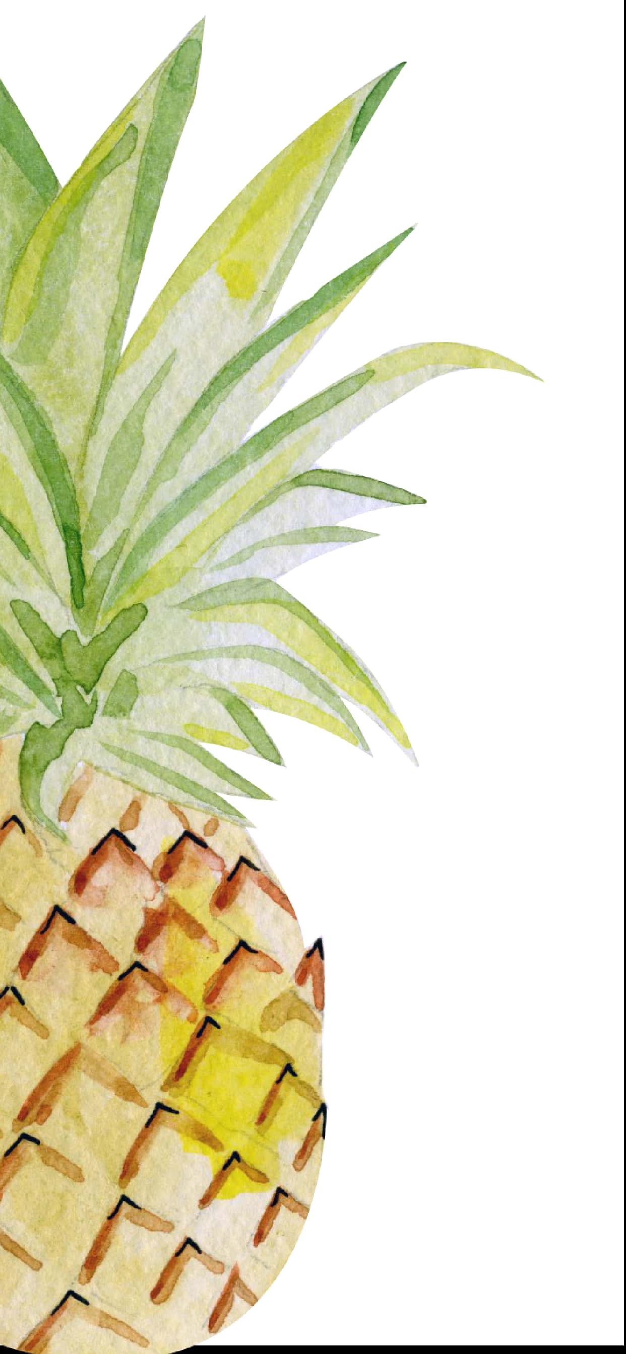 Suluboya Ananas Küçük Resim Duvar Kağıdı