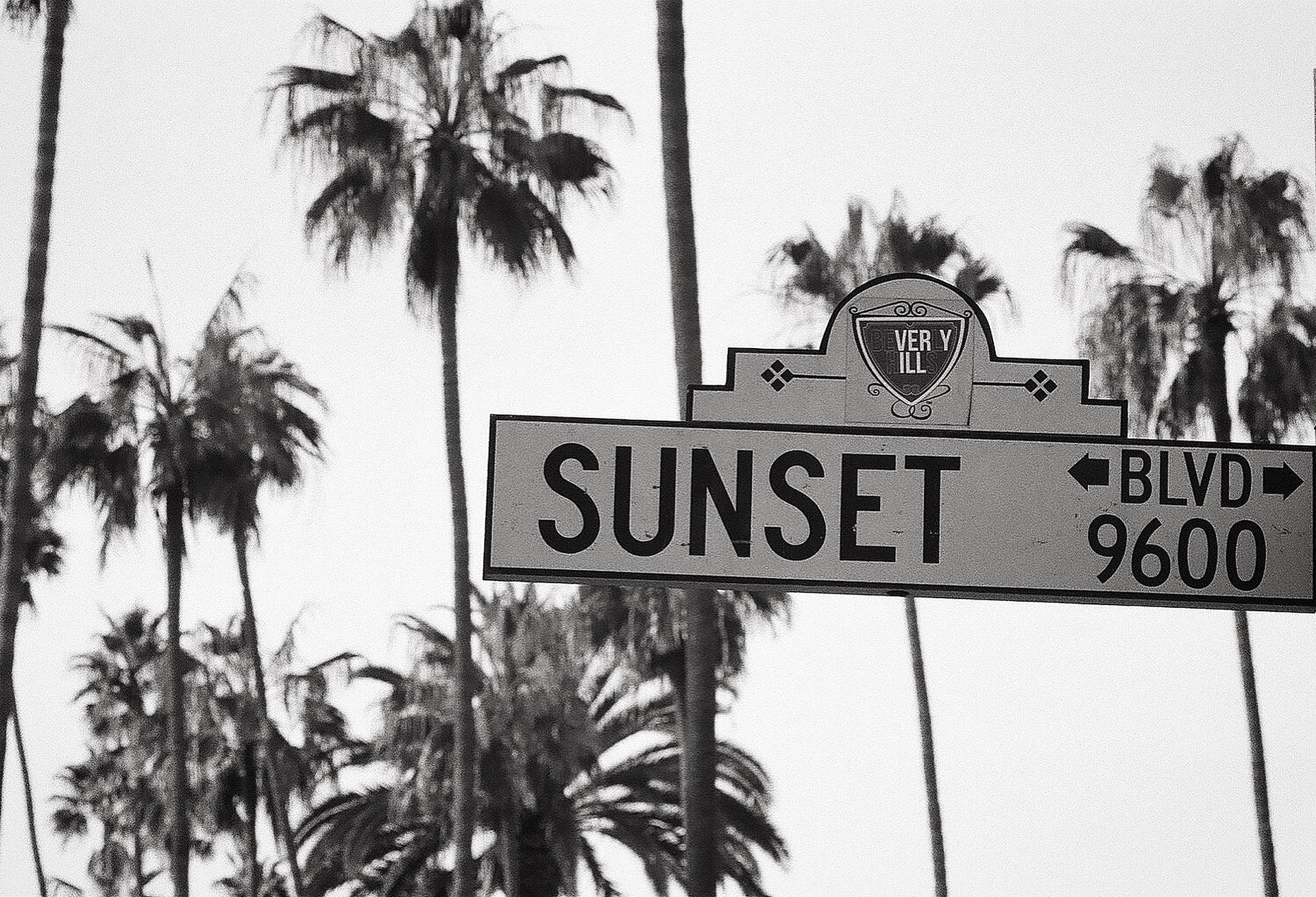 Sunset Boulevard Siyah Beyaz Duvar Kağıdı