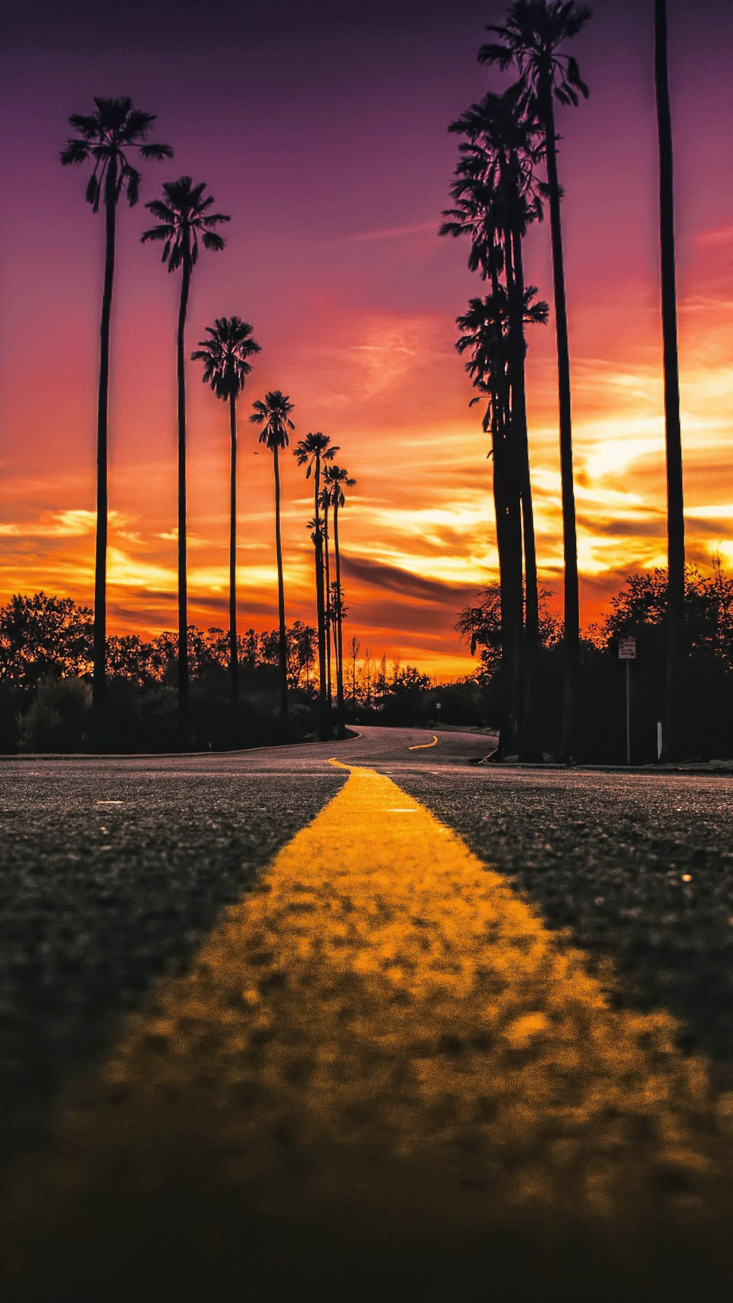 Sunset Bulvarı Yol Portresi Duvar Kağıdı