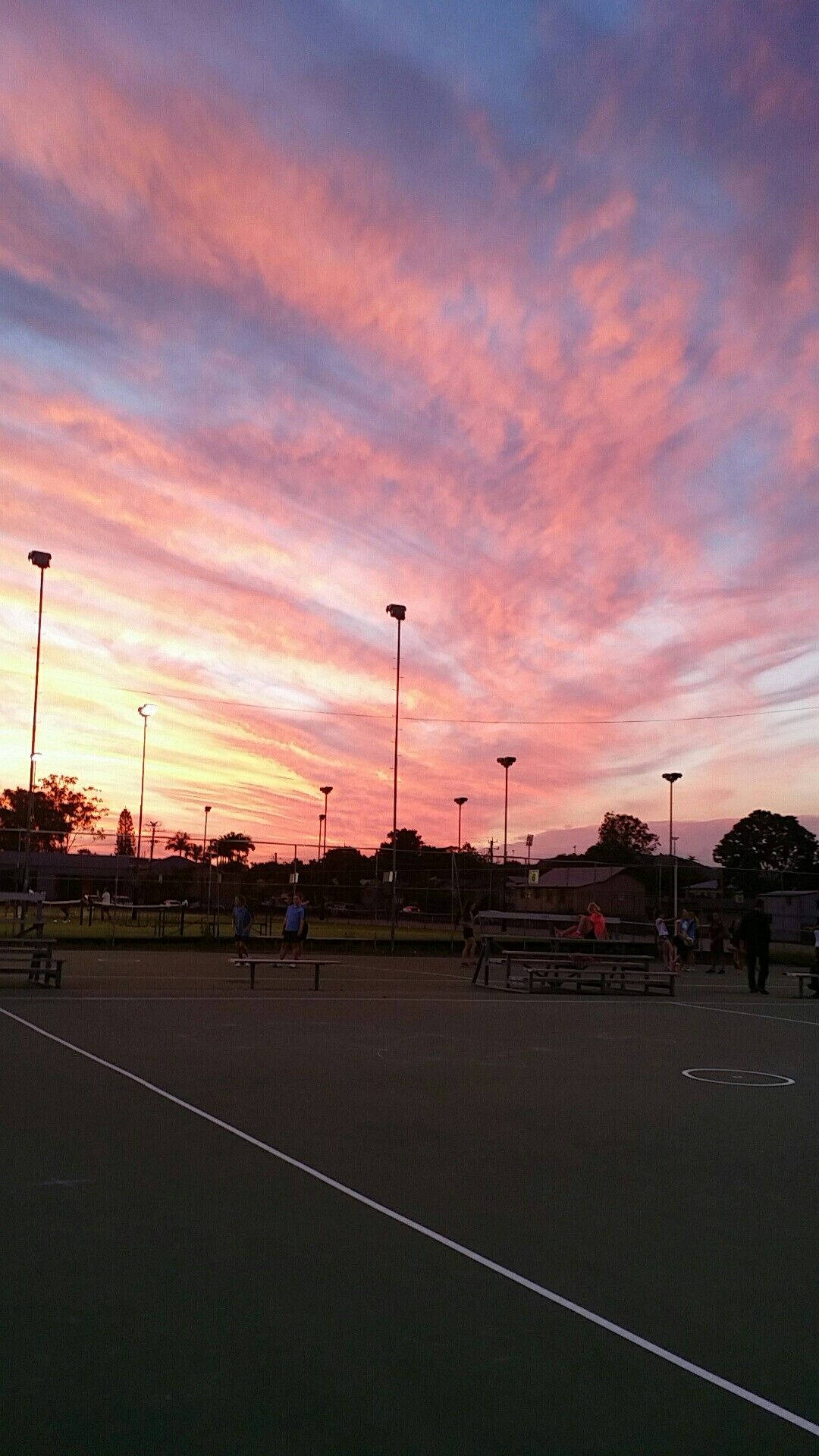 Sunset Bulvarı Pembe Gökyüzü Duvar Kağıdı