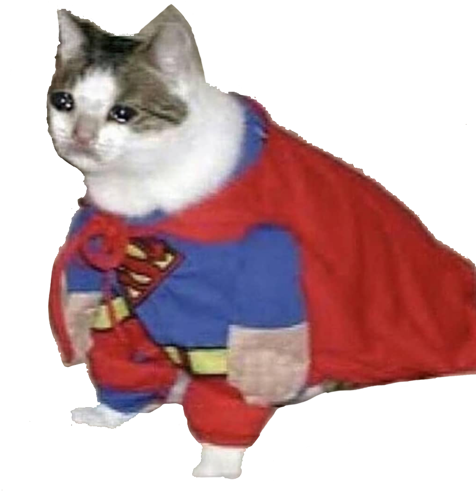 Süper Kedi Kahramanı Memi.PNG Duvar Kağıdı