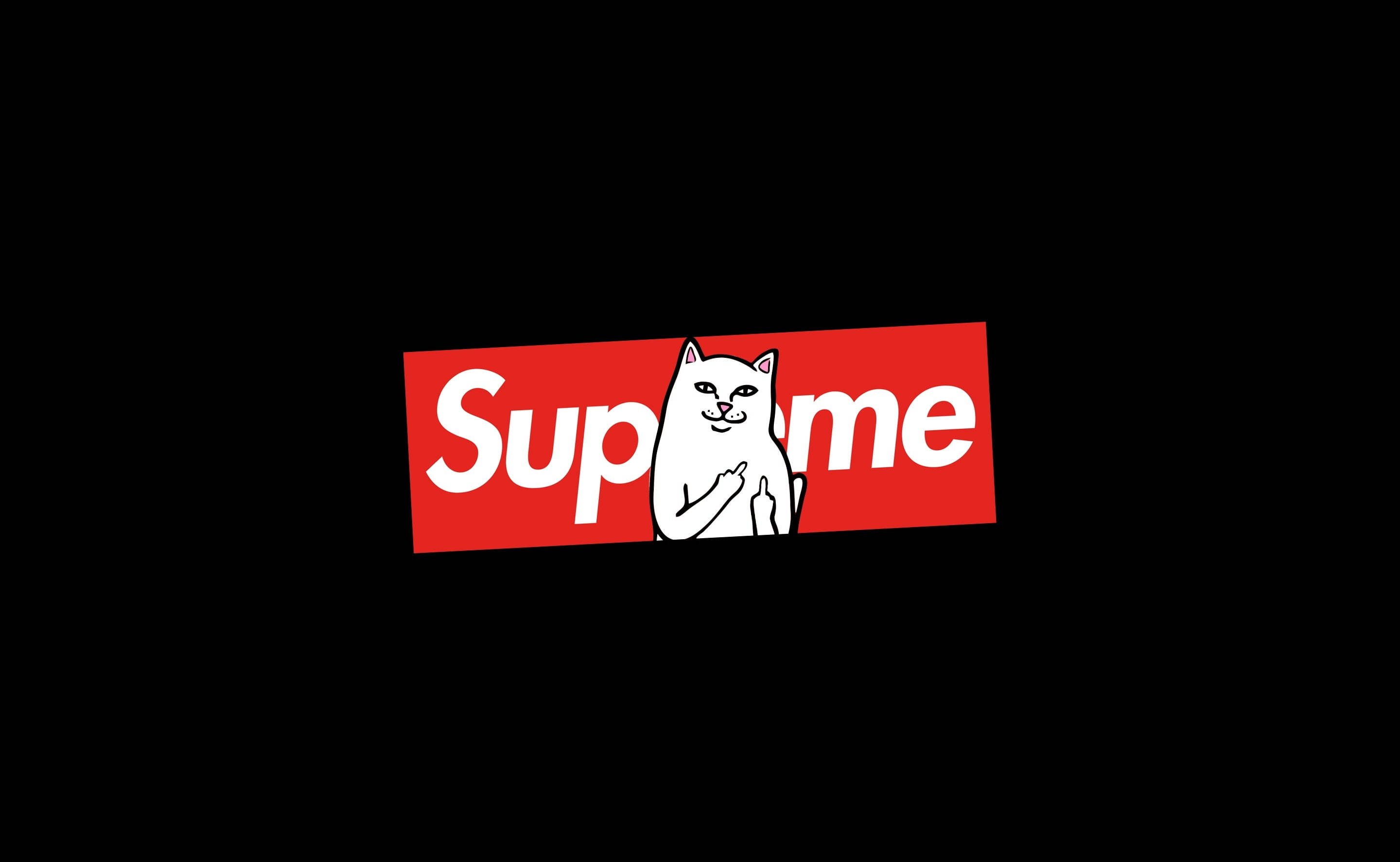 Supreme Dizüstü Bilgisayarda Oturan Kedi Duvar Kağıdı