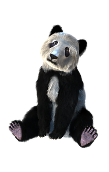 Sürrealist Oturan Panda Duvar Kağıdı