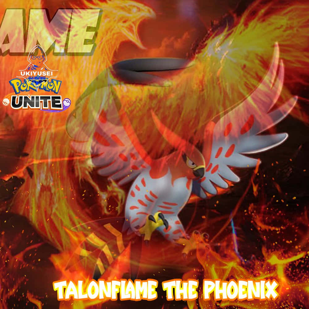 Talonflame Anka Kuşu Pokemon Unite Duvar Kağıdı