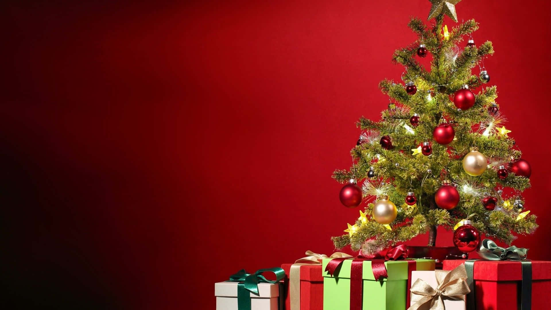 Tatil sezonunda bu yıldızlar ve renkli süslerle süslenmiş şenlikli Noel Ağacı ile neşelenin Duvar Kağıdı