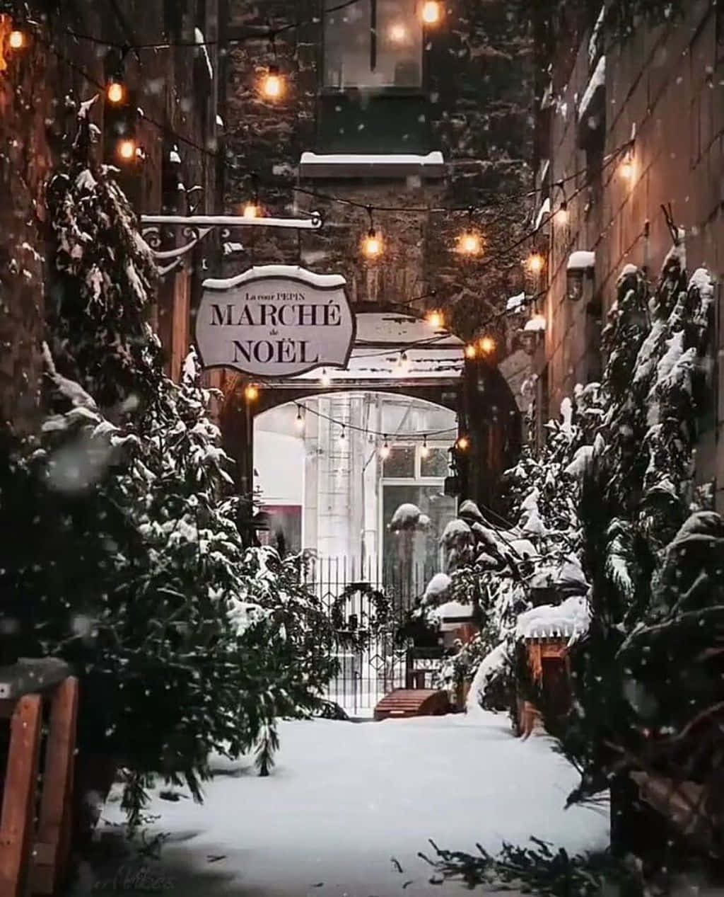 Tatil sezonunun seslerinin tadını çıkarın ve evinize neşe getirin bir Noel Estetiği ile Duvar Kağıdı