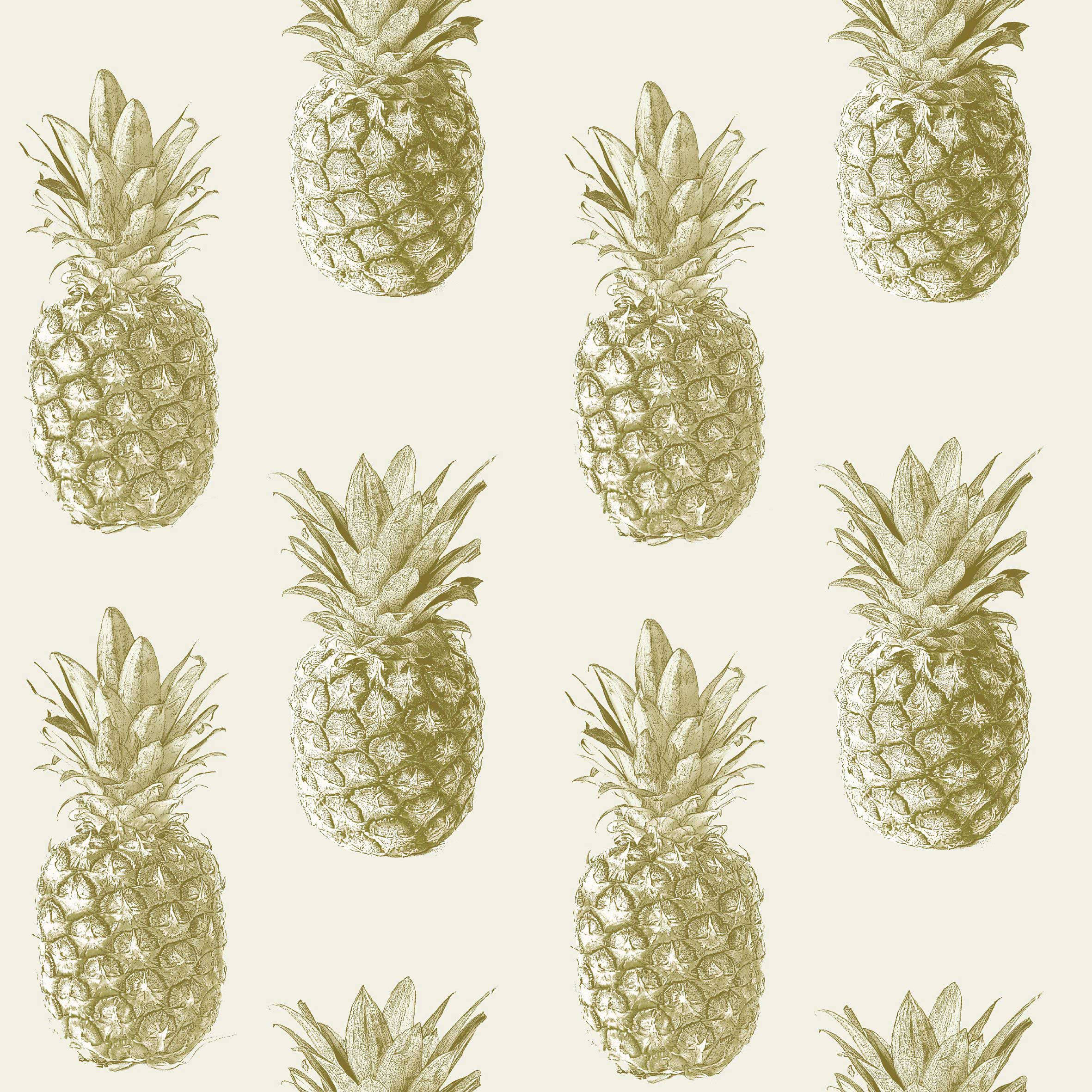 Tatlı ananas desenli boyama. Duvar Kağıdı