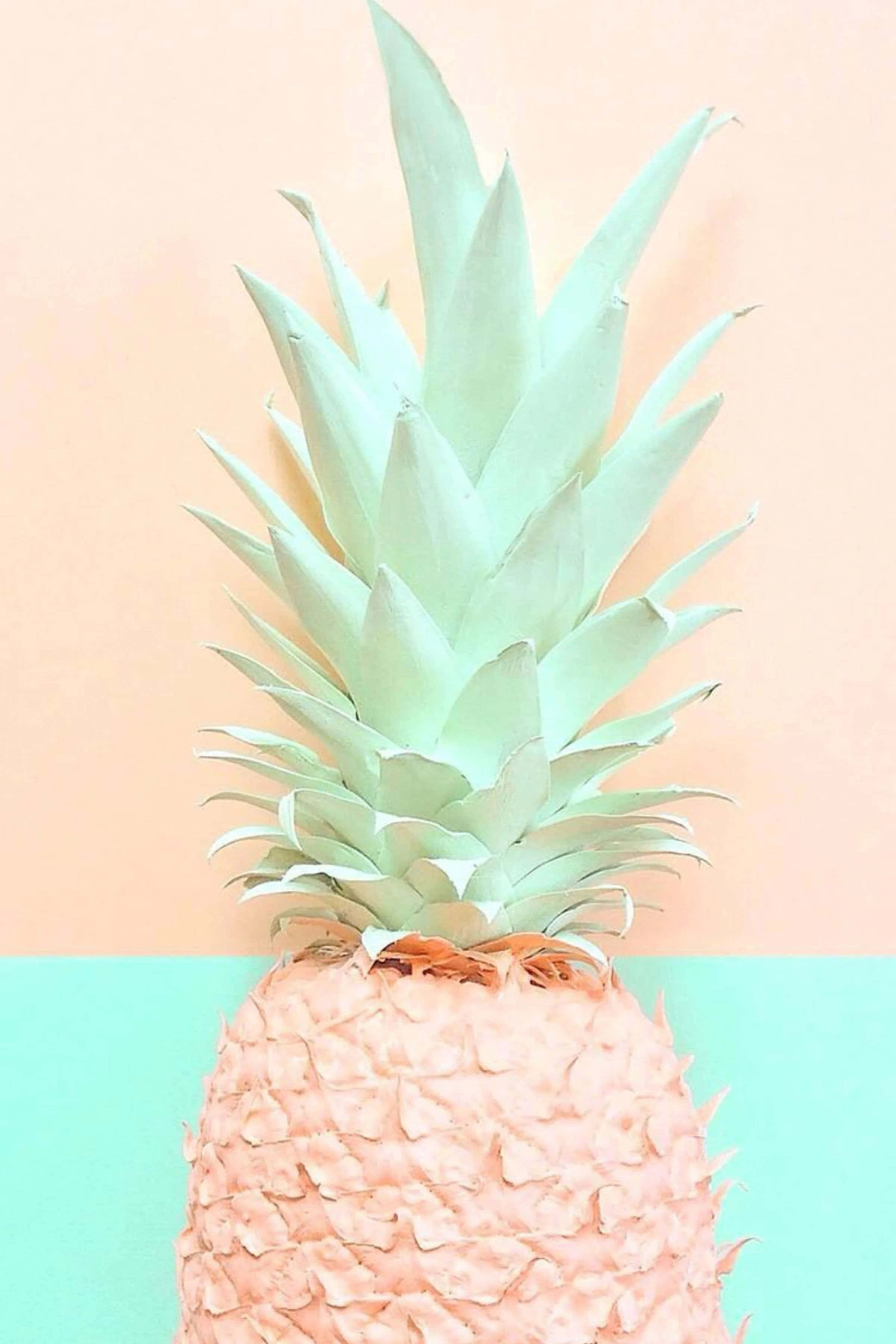 Taze ananas sulu bir yaz atıştırmalığıdır Duvar Kağıdı