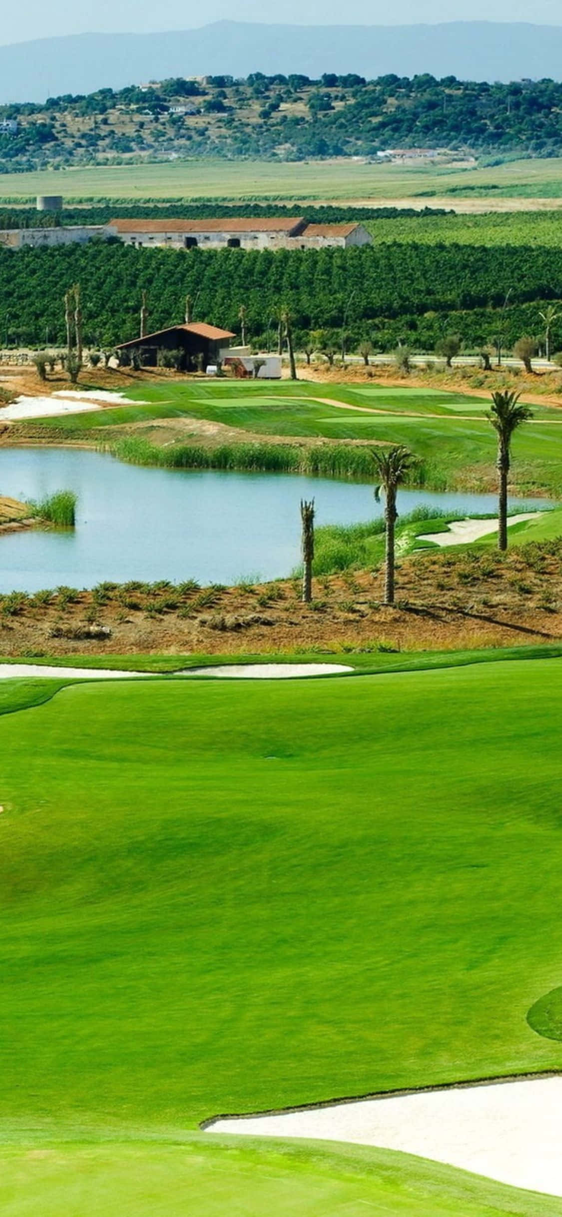 Tee zamanı! iPhone X'inizde golf sahasının yemyeşil fairway'lerinde golf oyununuzun keyfini çıkarın Duvar Kağıdı