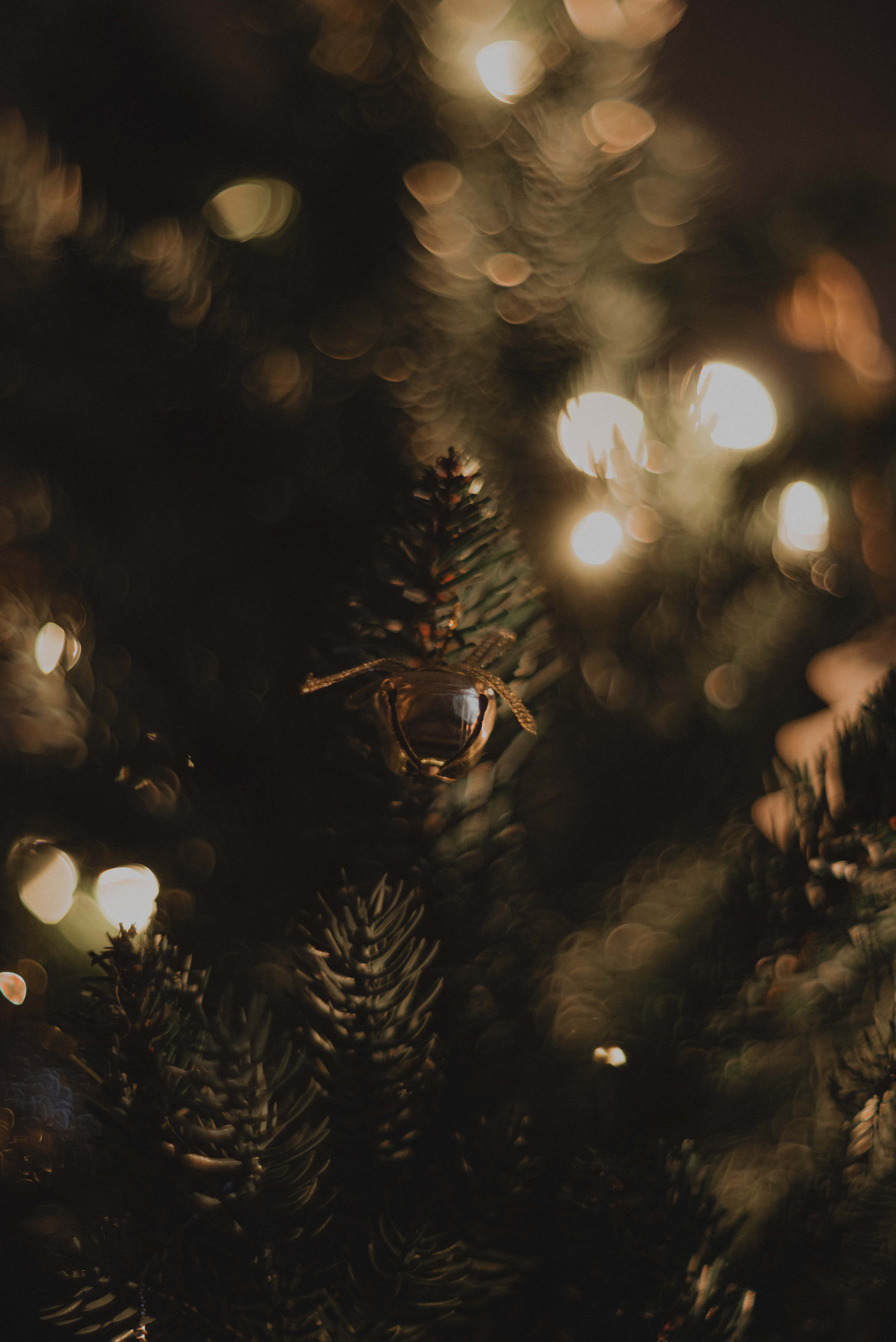 Telefonunda Noel'i Kutla Duvar Kağıdı