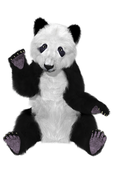 Ters Renkli Panda Peluş Duvar Kağıdı