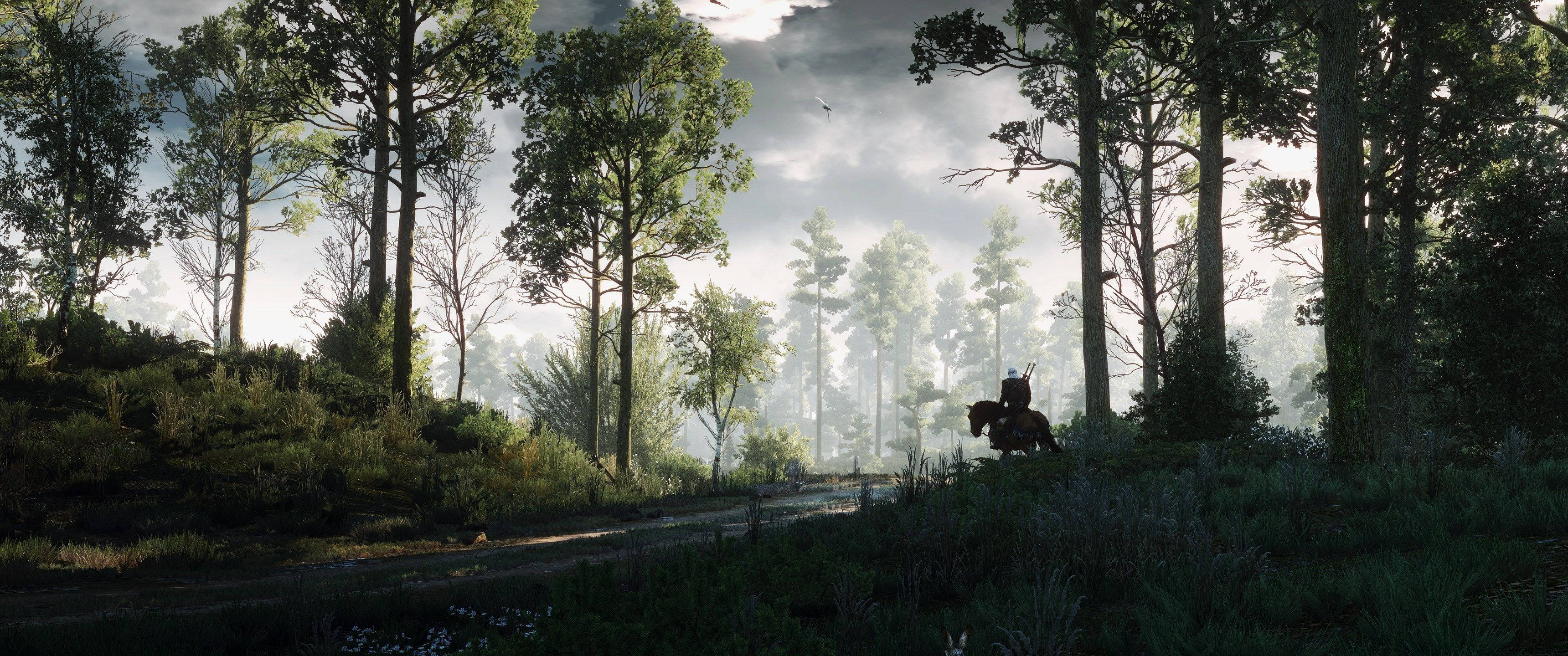 The Witcher video oyununun mistik ormanını keşfedin Duvar Kağıdı