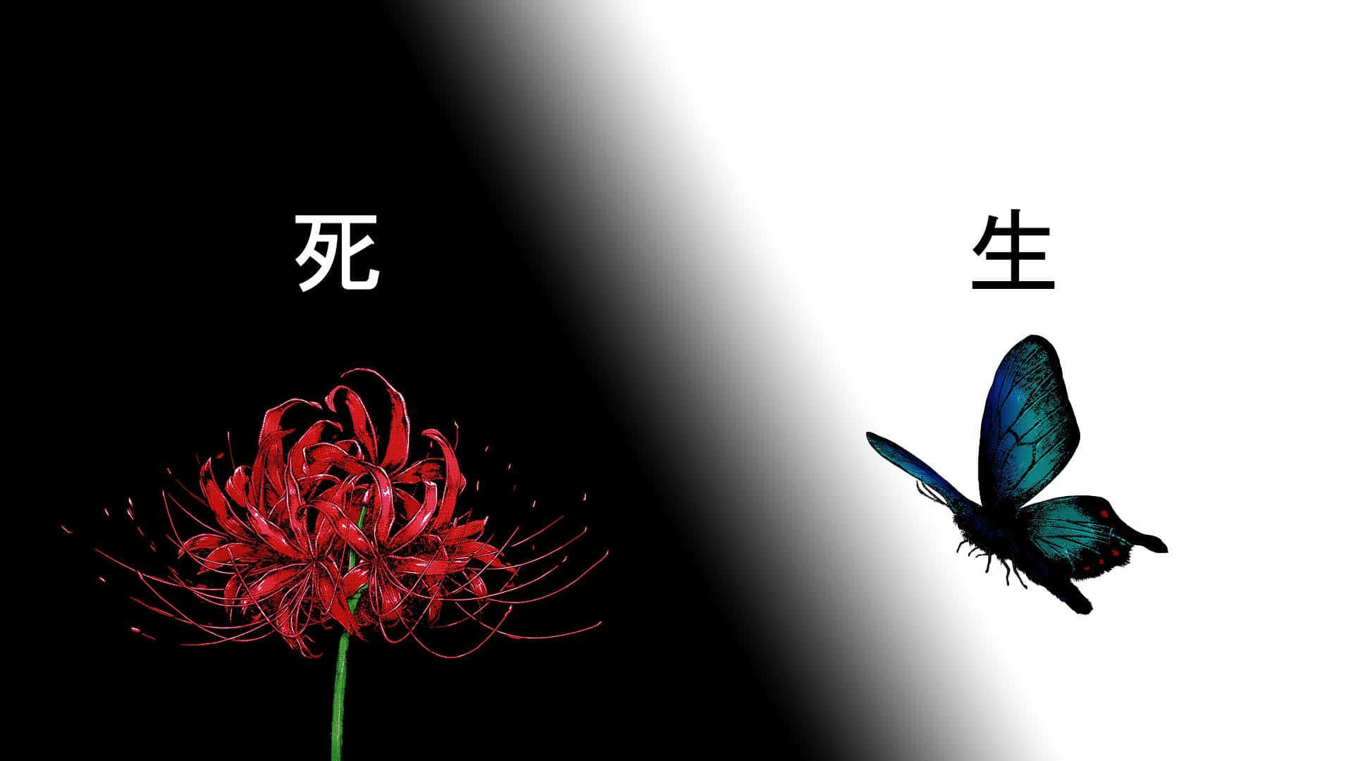 Tokyo Ghoul Çiçek ve Kelebek Duvar Kağıdı