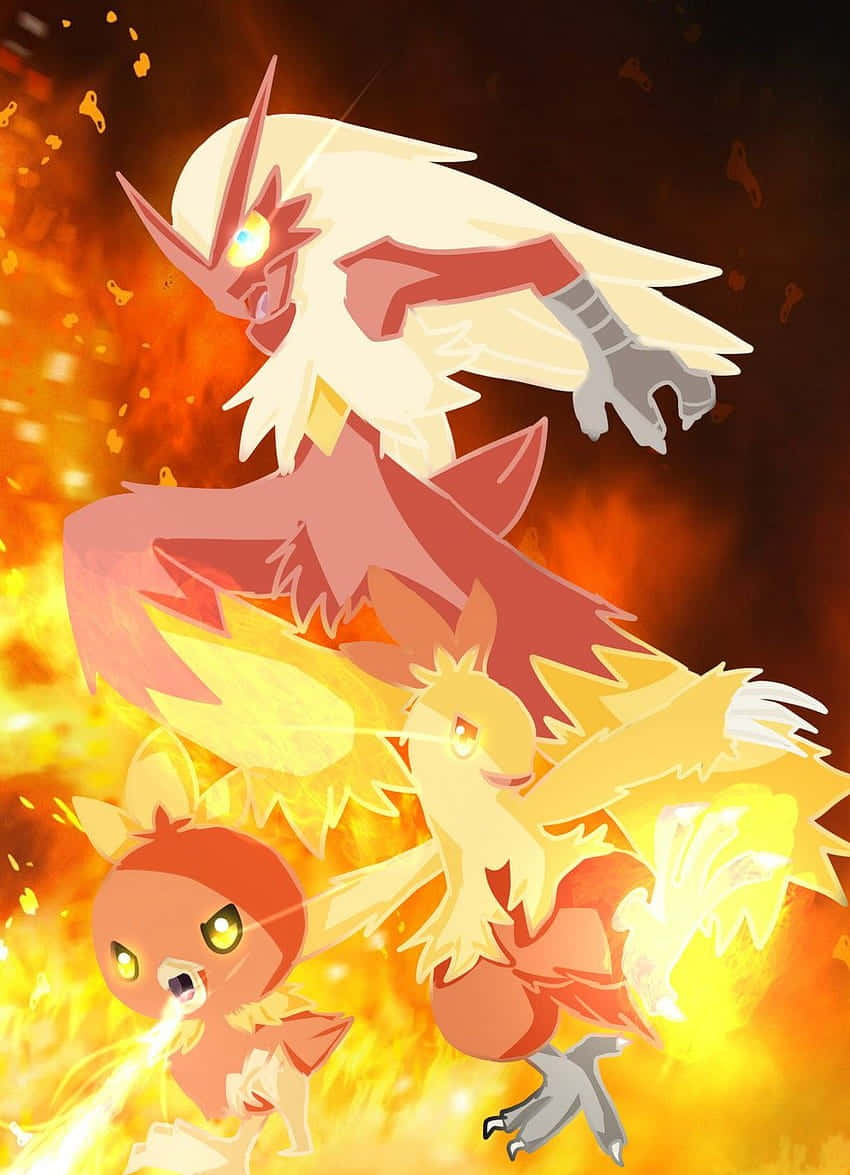 Torchic Pokemon Evrim Aşamaları İllüstrasyonu Duvar Kağıdı