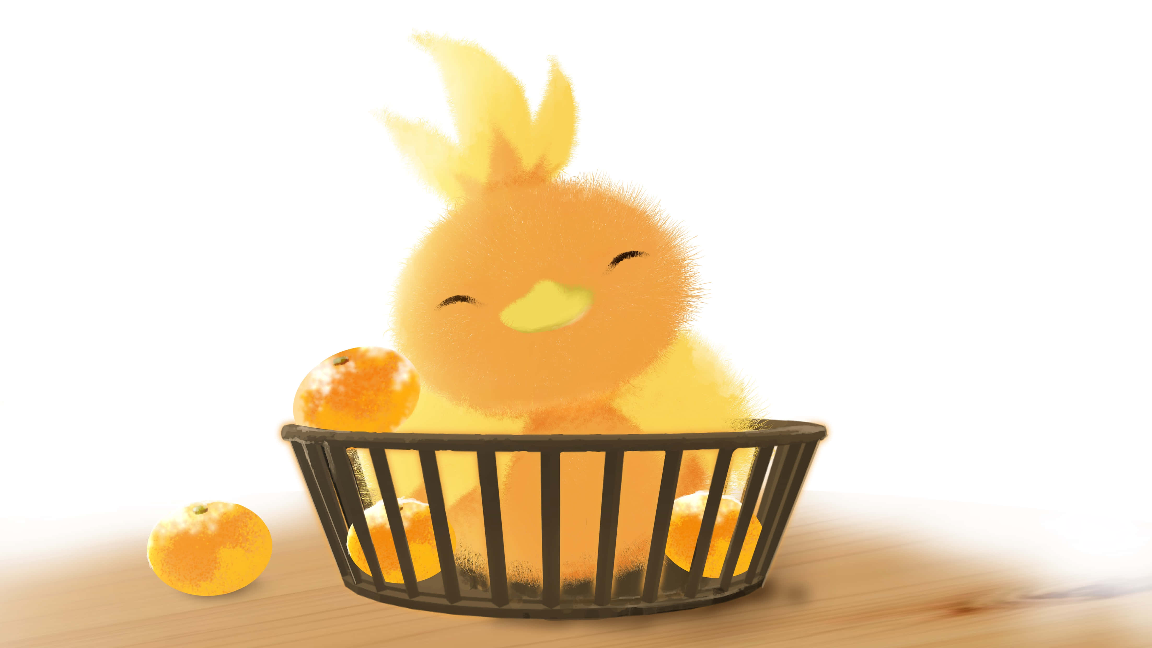 Torchic Pokemon Sepette Duvar Kağıdı
