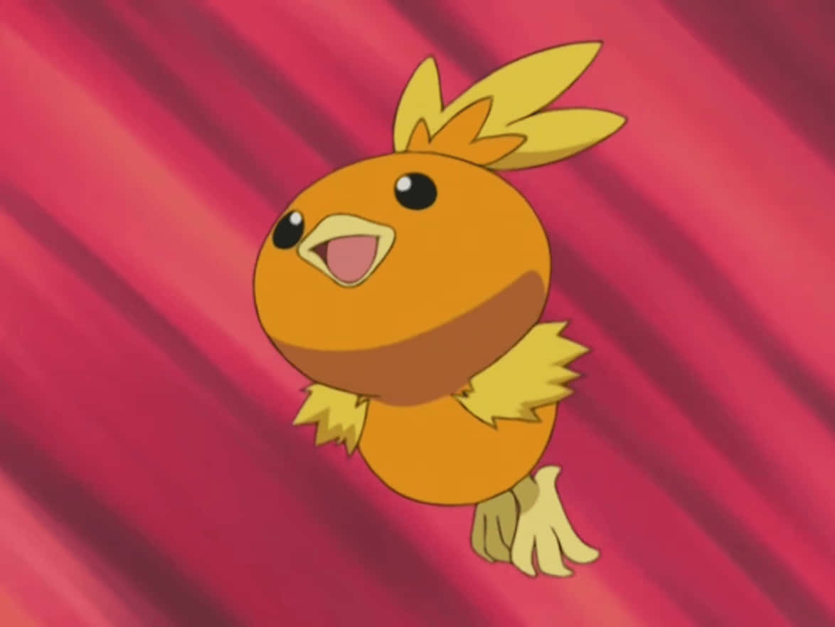Torchic Zıplarken Kırmızı Arka Plan Duvar Kağıdı