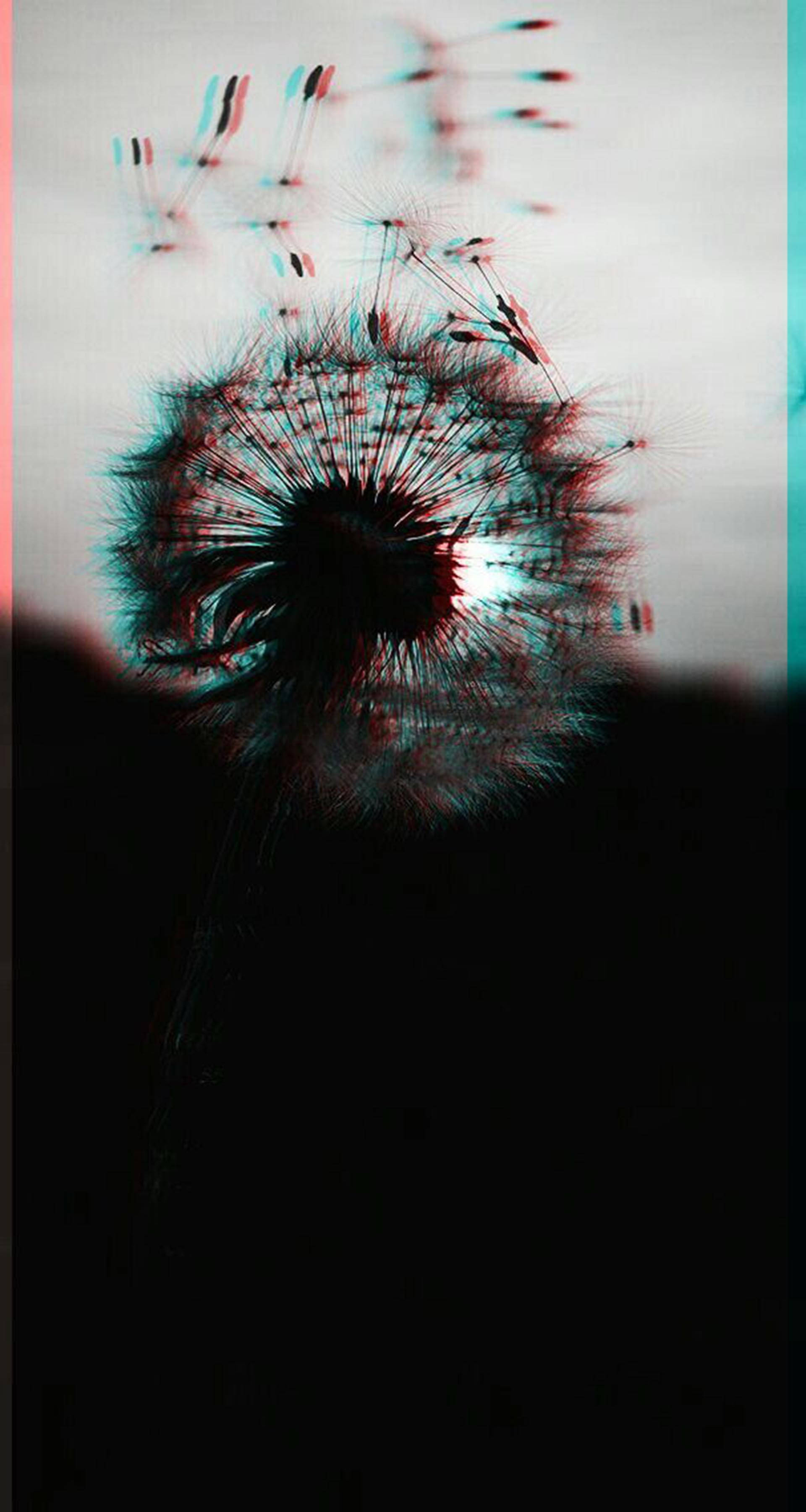 Trippy Karanlık Estetik Karahindiba Duvar Kağıdı