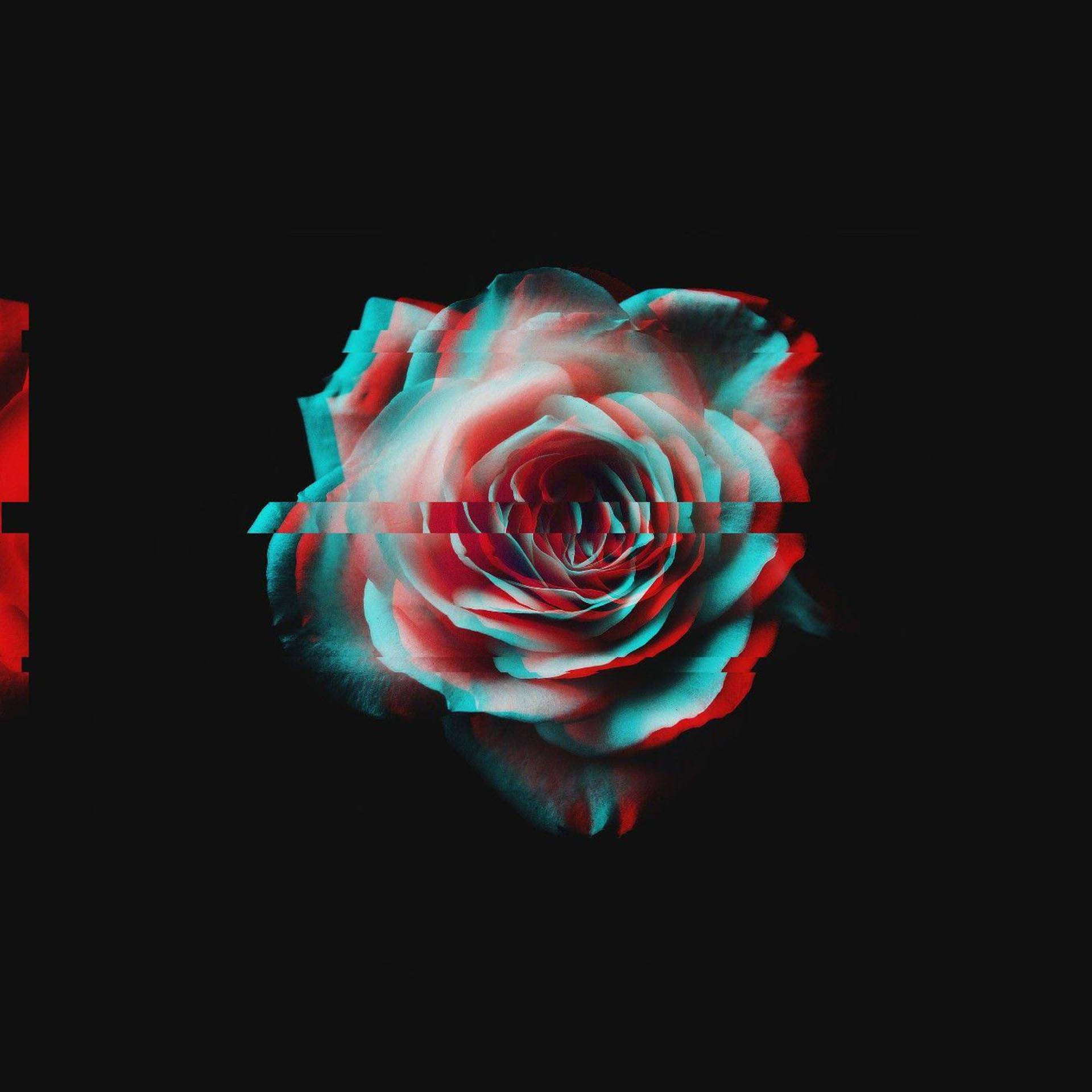Trippy Karanlık Estetik Bozuk Gül Duvar Kağıdı