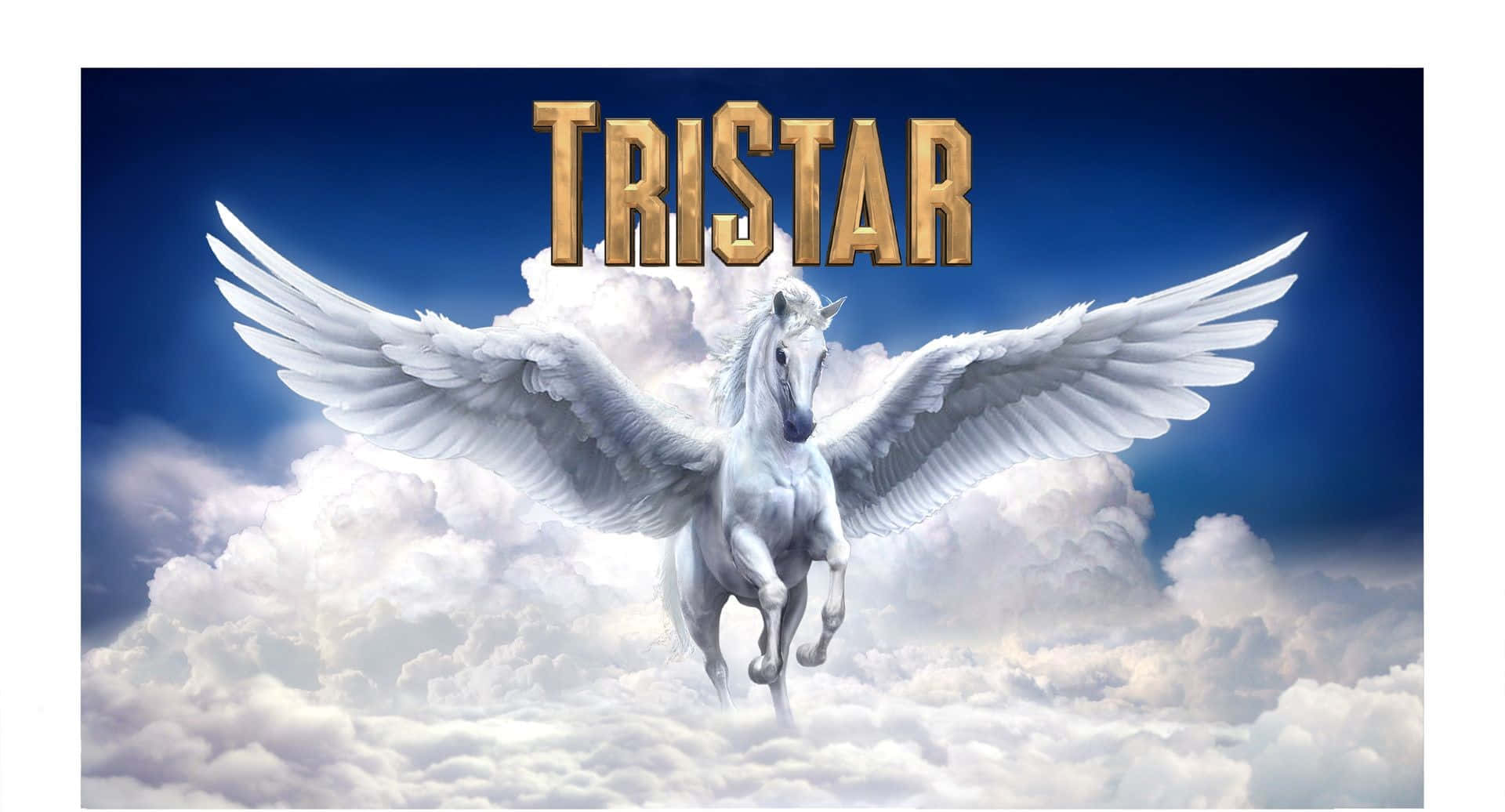 TriStar Tanıtım Kartı Tablosu Duvar Kağıdı