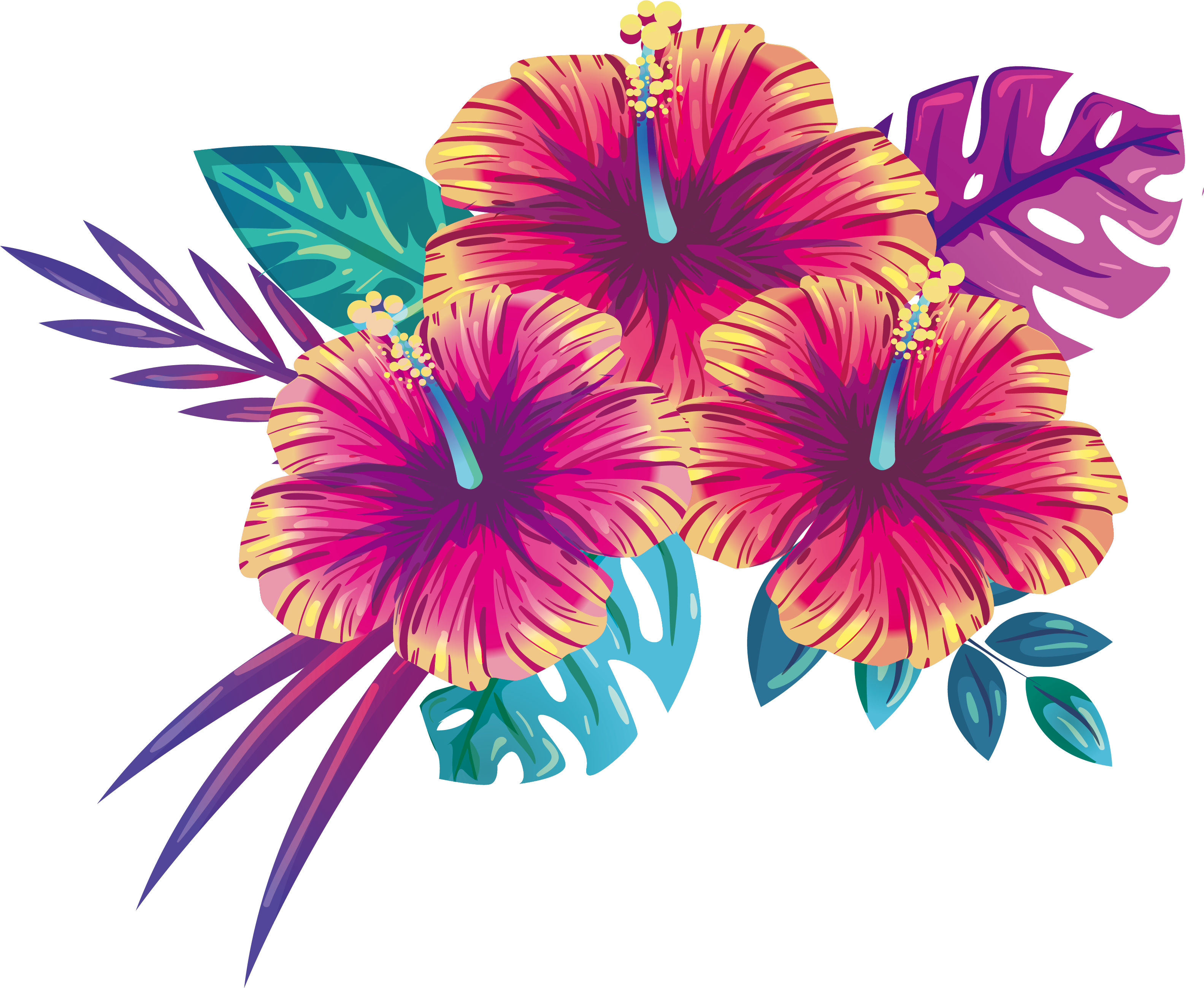 Tropikal Hibiskus Çiçek İllüstrasyonu Duvar Kağıdı