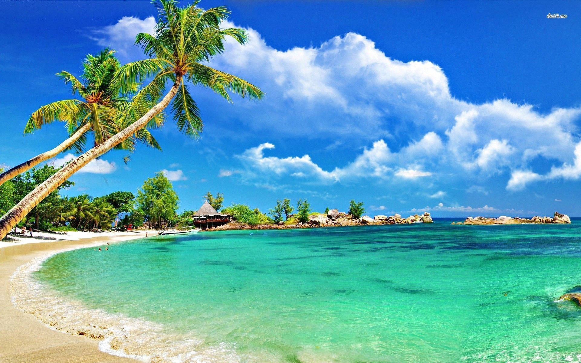 Tropikal Montego Bay Sahil Şeridi Duvar Kağıdı