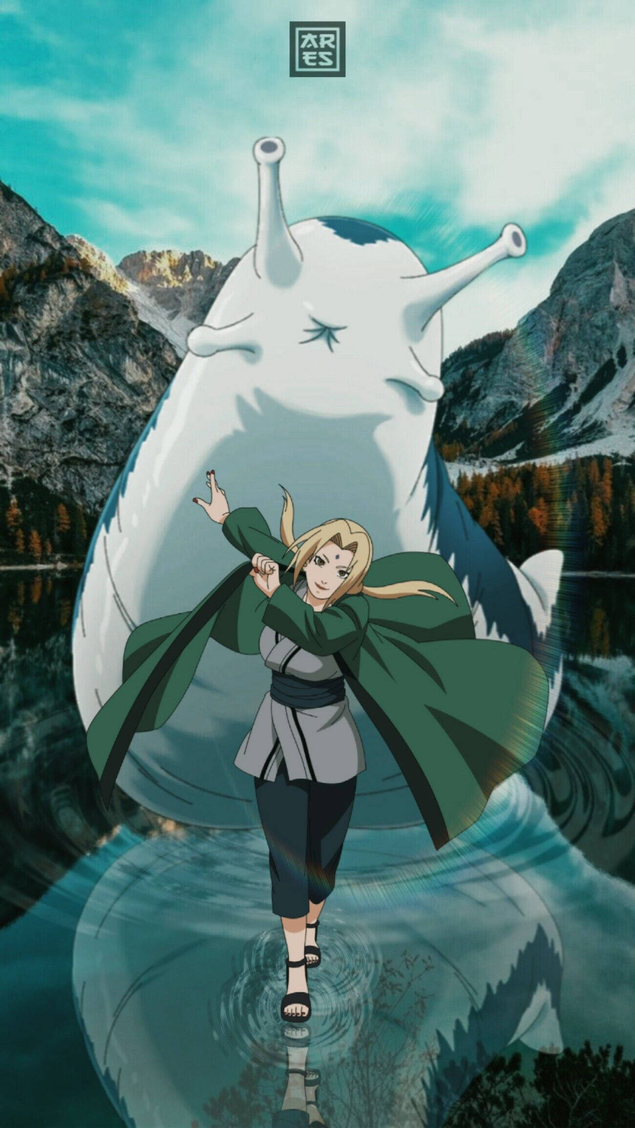 Tsunade ve Katsuyu Duvar Kağıdı