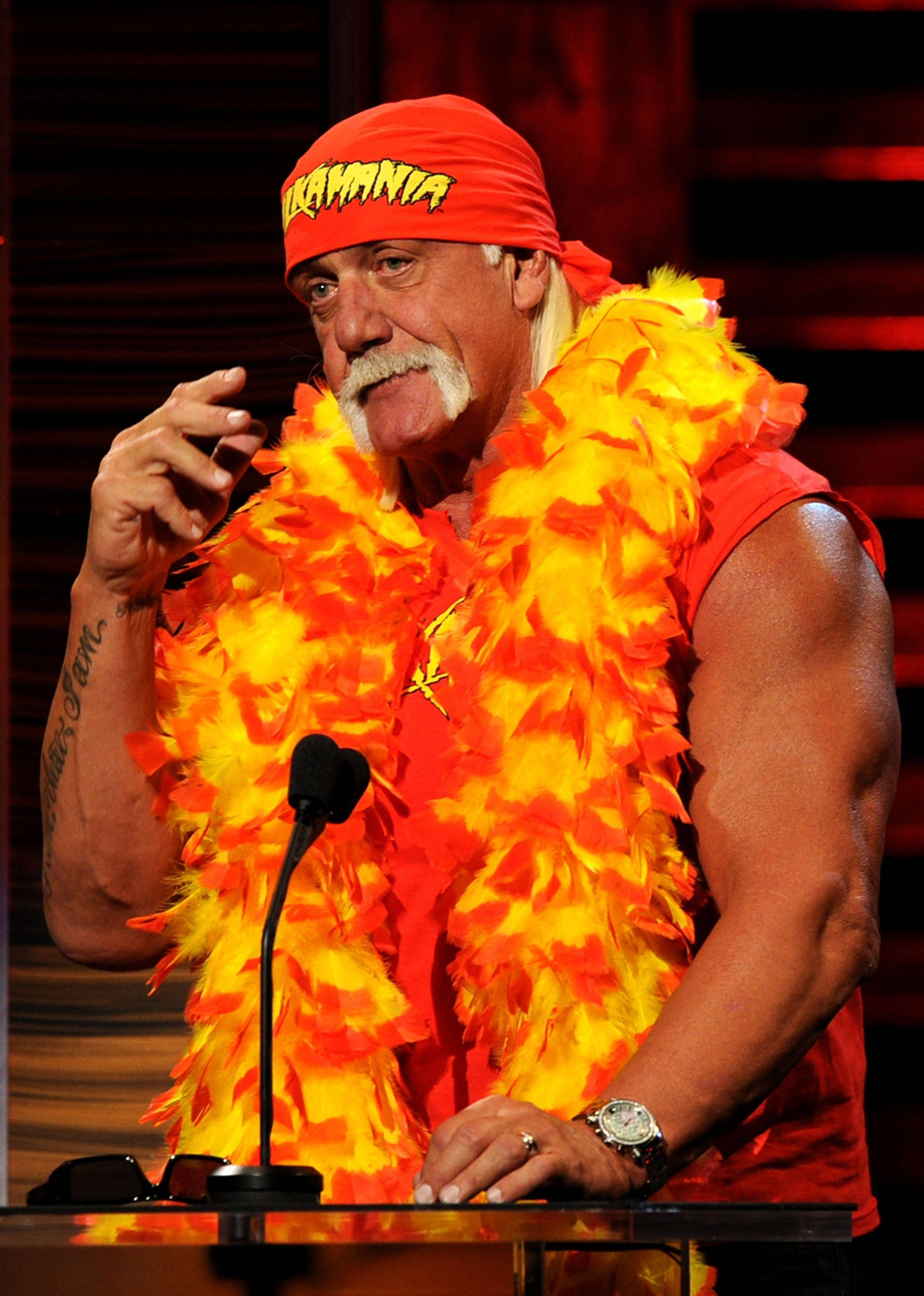 Tüy Boalı Hulk Hogan Duvar Kağıdı