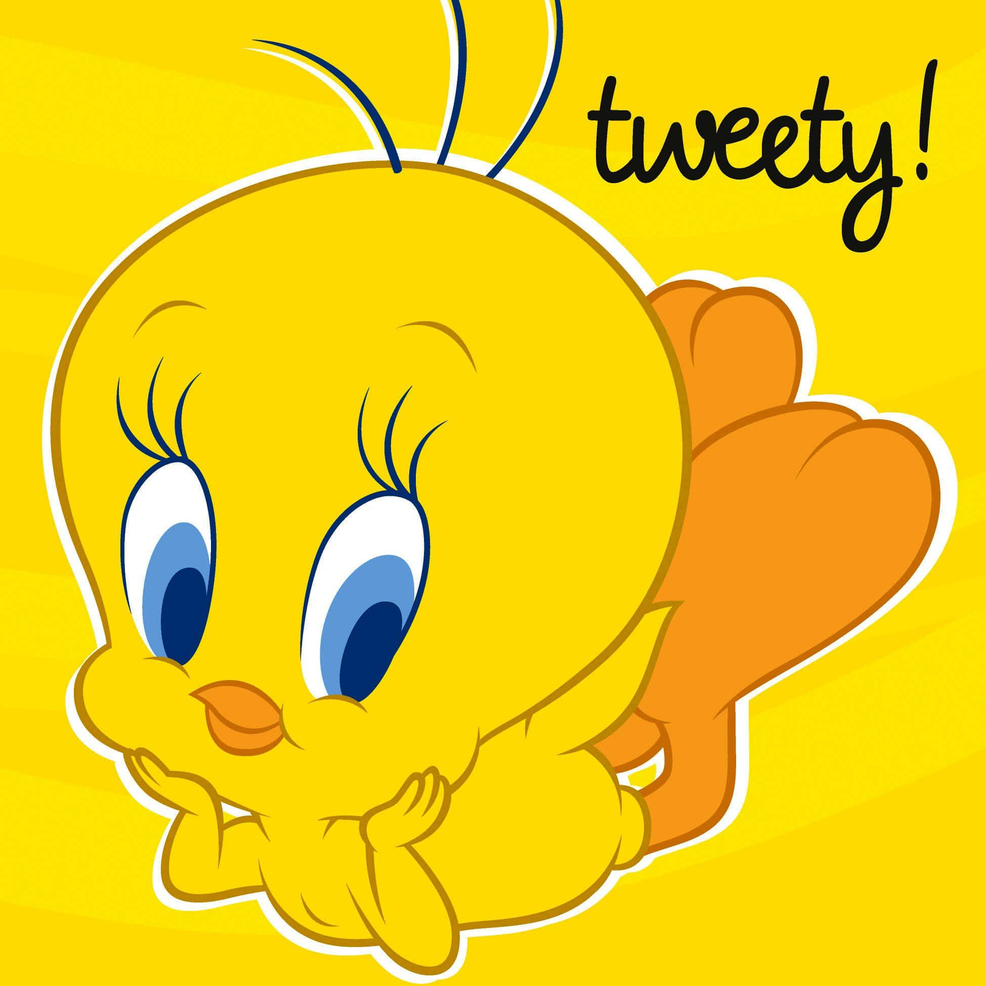Tweety Kuşu Duvar Kağıdı