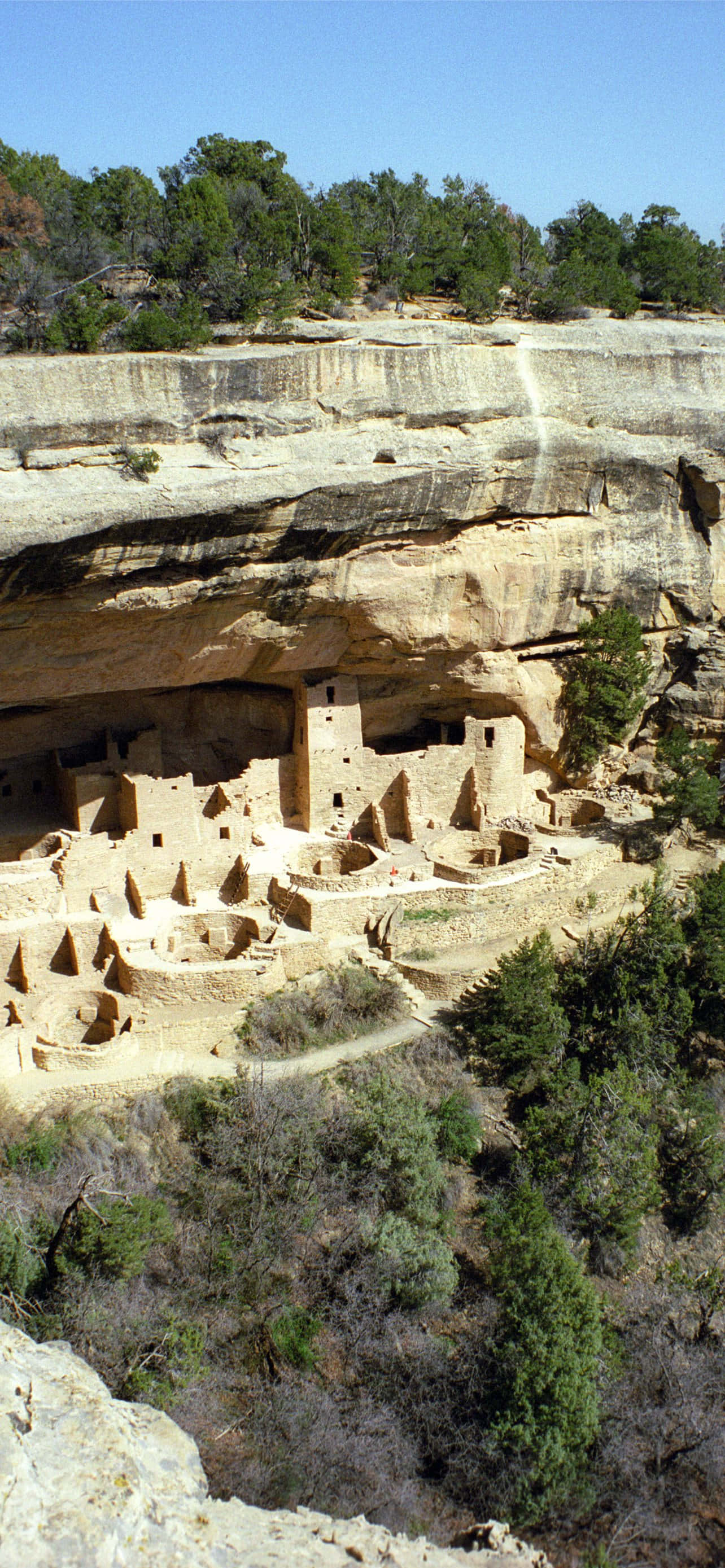 Uçurum Sarayı Ten Rengi Mesa Verde Milli Parkı Duvar Kağıdı