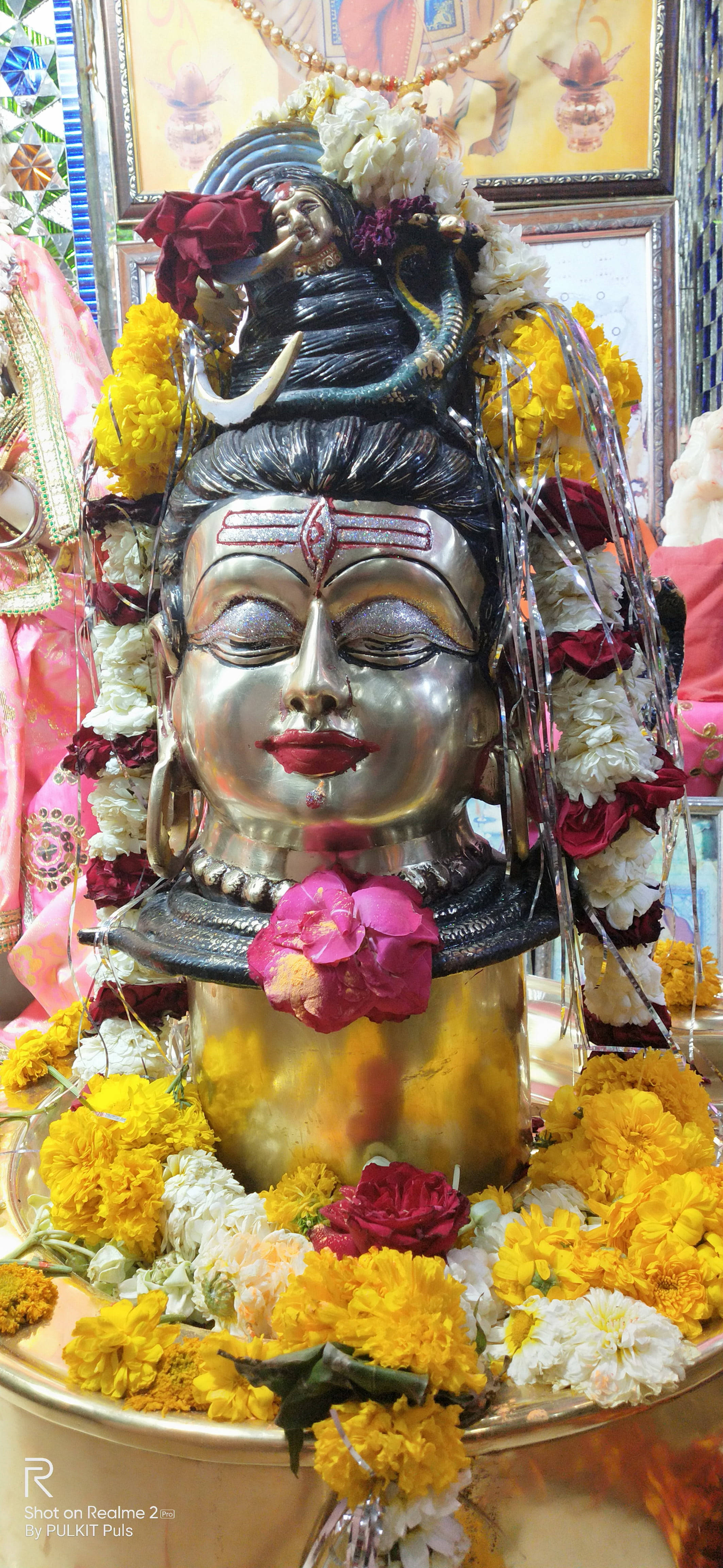Ujjain Mahakal Sarı Çiçekler Duvar Kağıdı