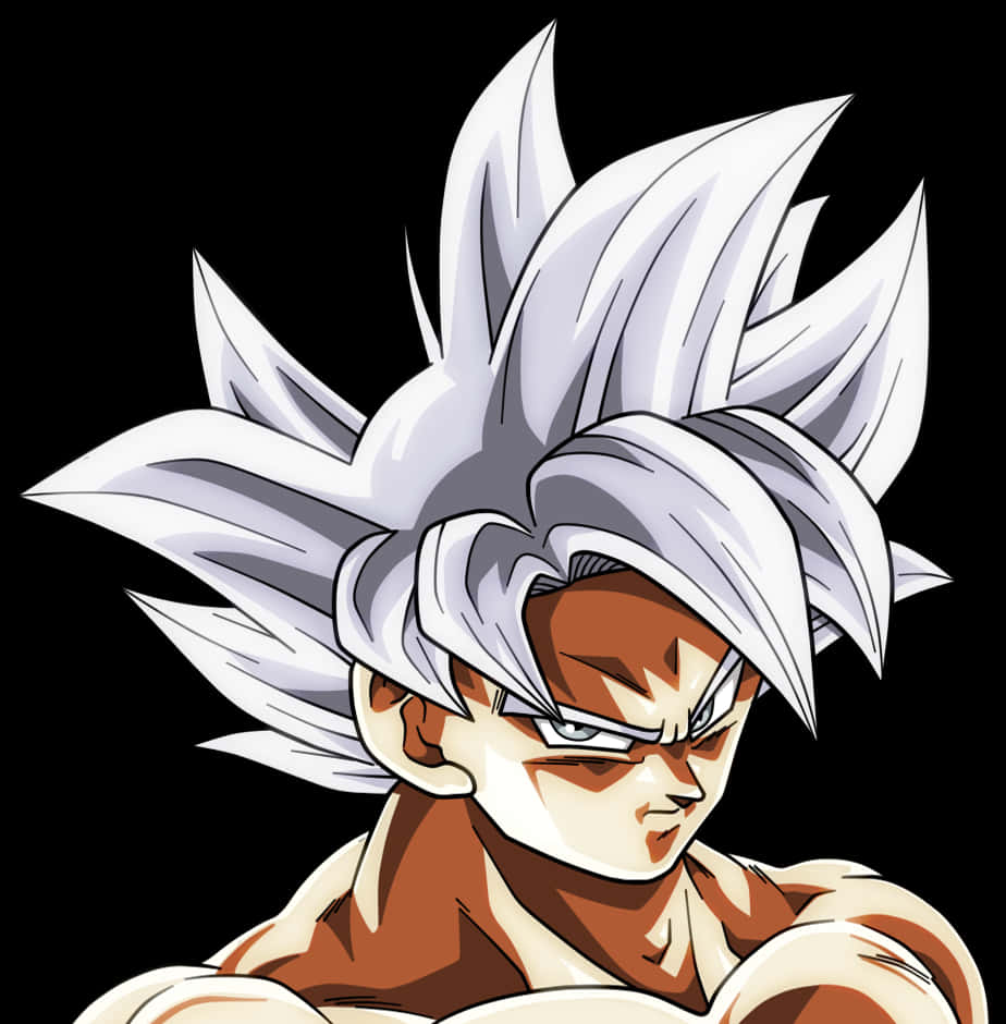 Ultra Instinct Goku Portresi Duvar Kağıdı