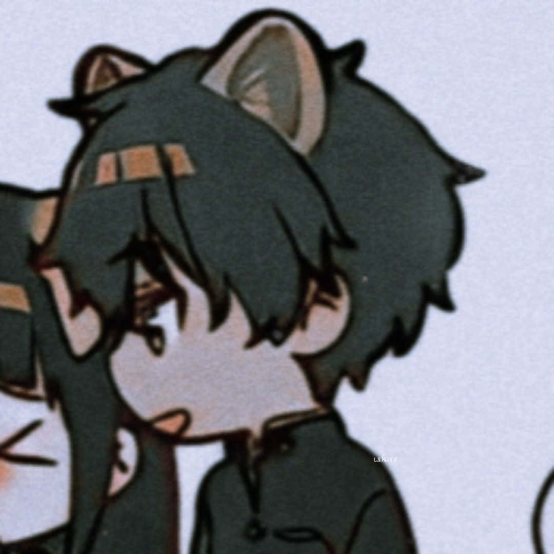 Uyumlu Çift Profil Resmi Anime Kedi Çocuk Duvar Kağıdı
