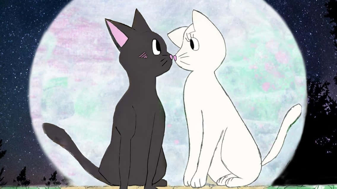 Uyumlu Kedi Pfp Sailor Moon Duvar Kağıdı