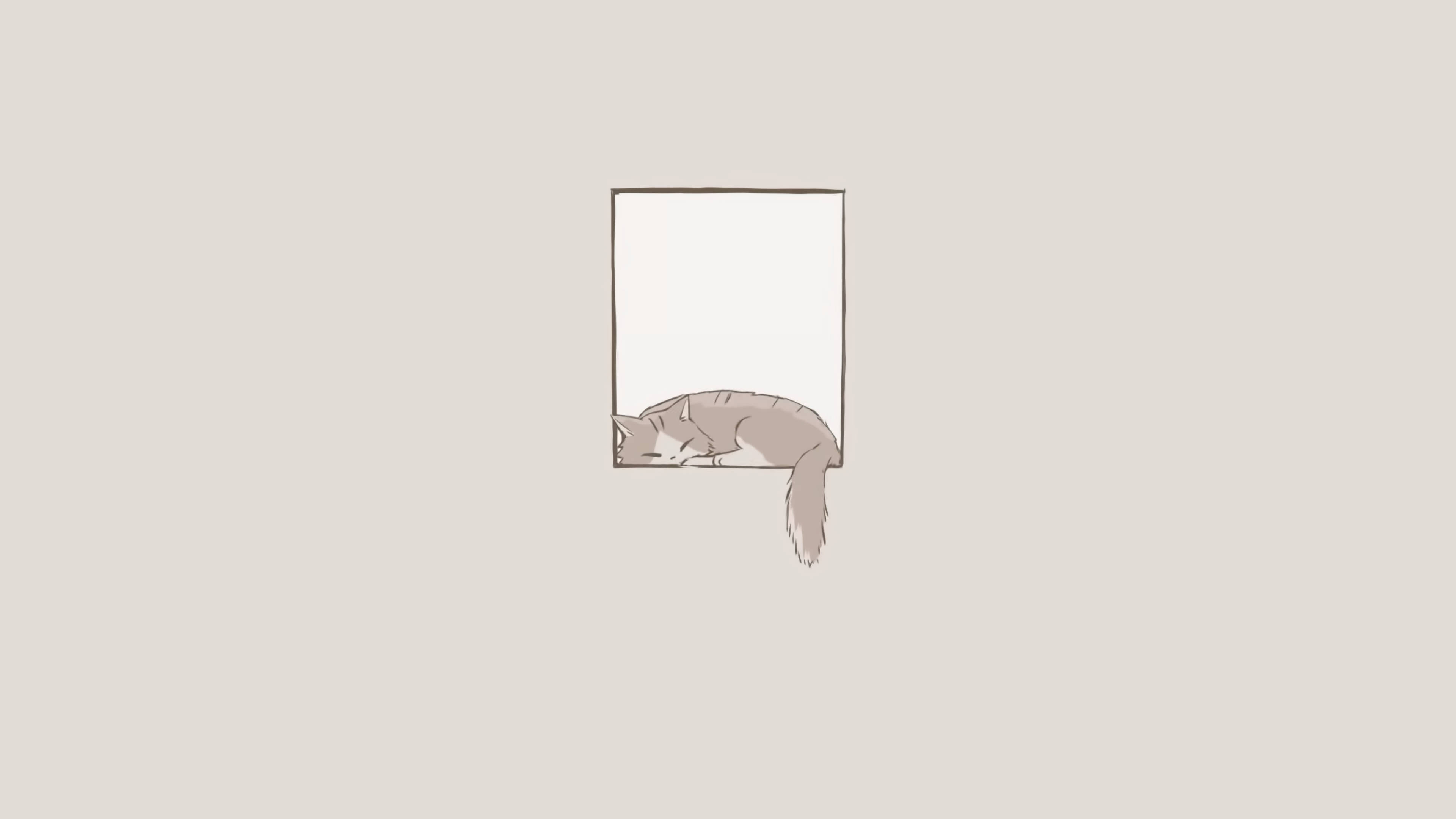 Uyuyan Kedi Minimalist Estetik Dizüstü Bilgisayar Duvar Kağıdı