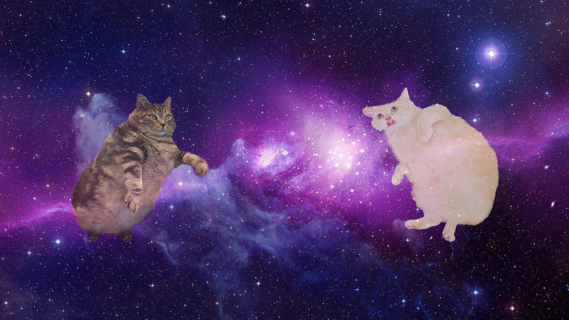 Uzayda Bilgisayarlı Kedi Duvar Kağıdı