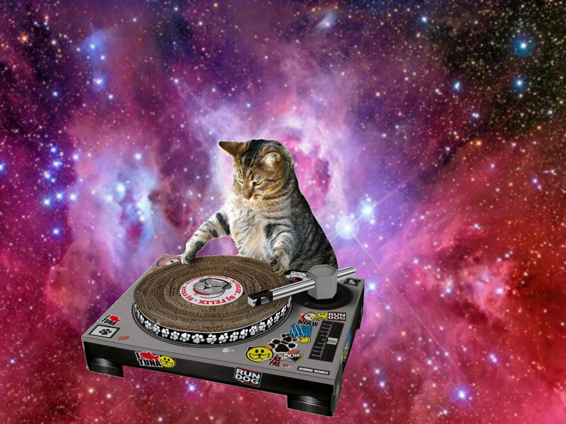 Uzayda Çalan Komik Kedi DJ Duvar Kağıdı