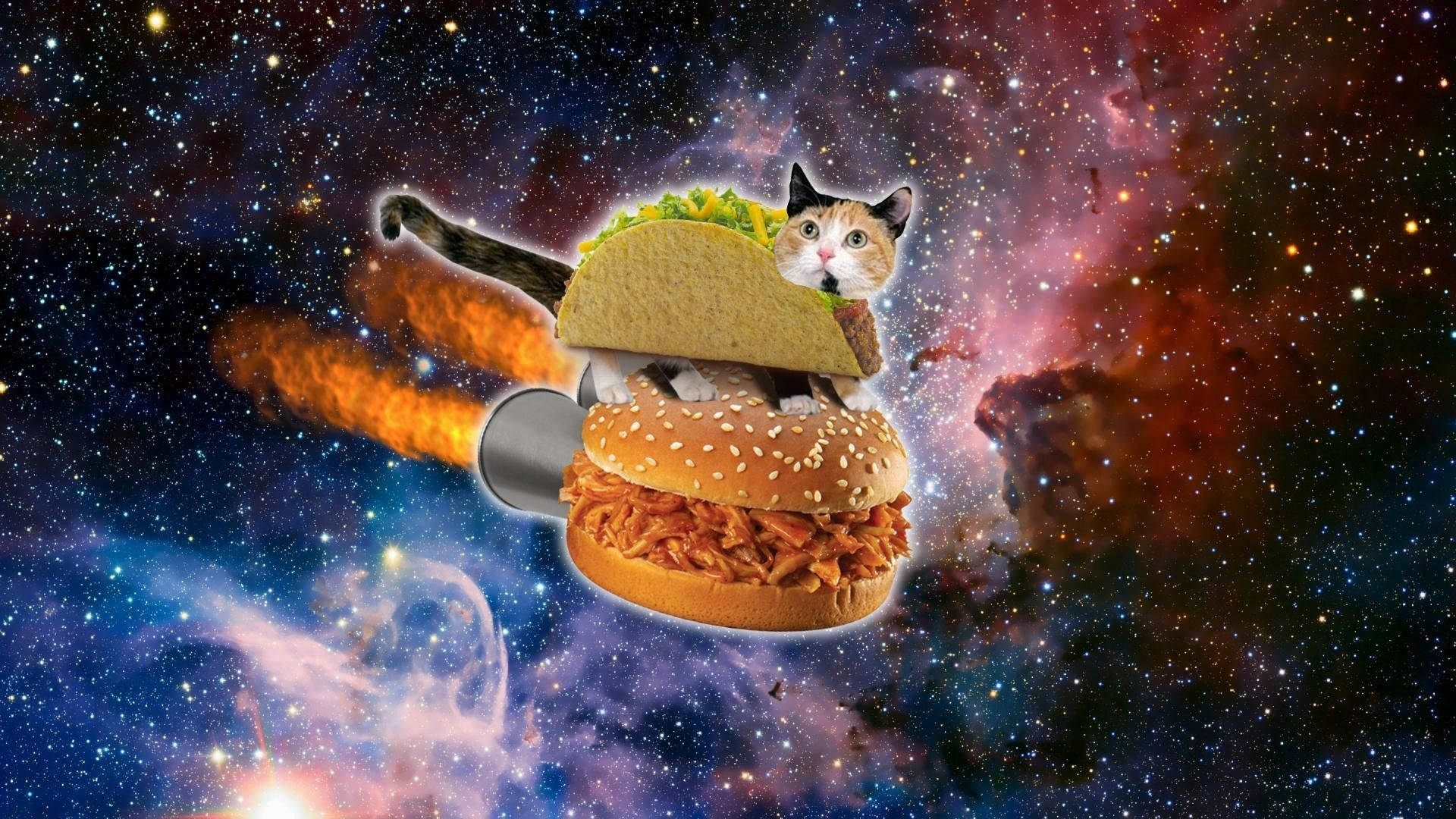 Uzayda Komik Kedi Burgeri Duvar Kağıdı