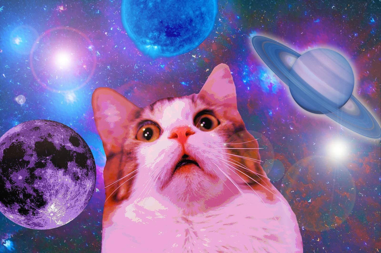 Uzayda Şaşırmış Komik Kedi Duvar Kağıdı
