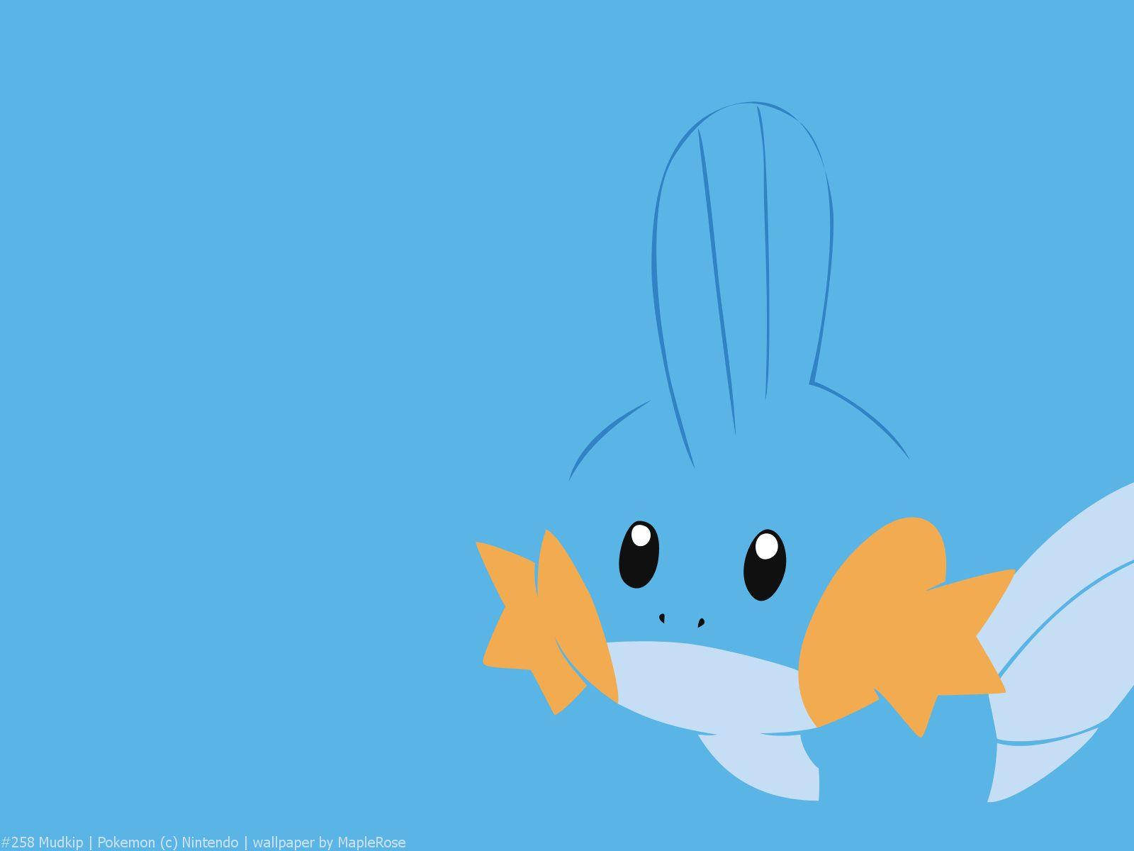 Üzgün Mudkip Sanatı Duvar Kağıdı