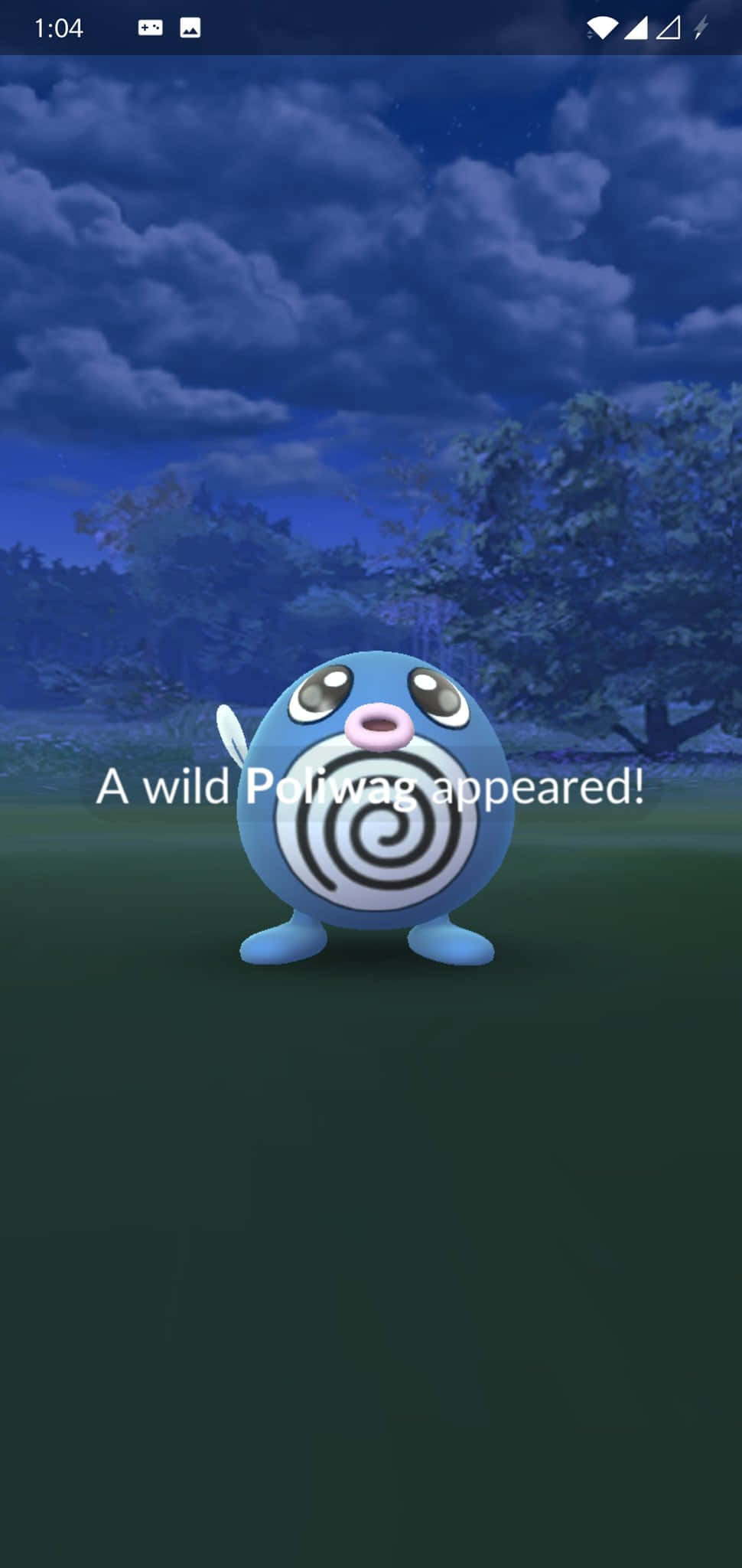 Vahşi Bir Poliwag Ortaya Çıktı Duvar Kağıdı