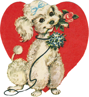 Vintage Sevgililer Günü Köpek Aşkı Duvar Kağıdı