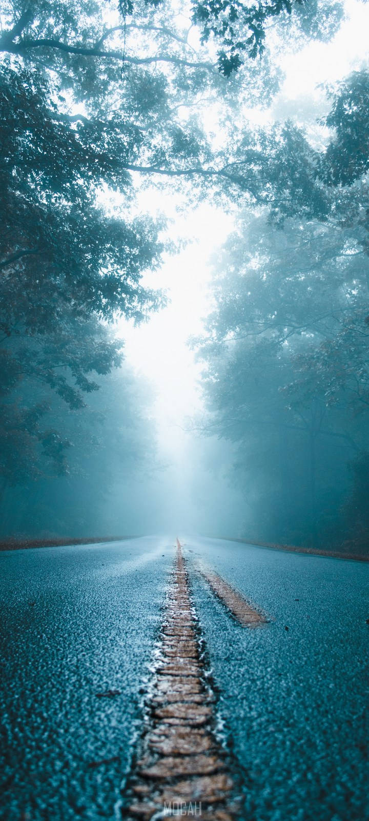 Vivo Y11 Sisli Yol Duvar Kağıdı