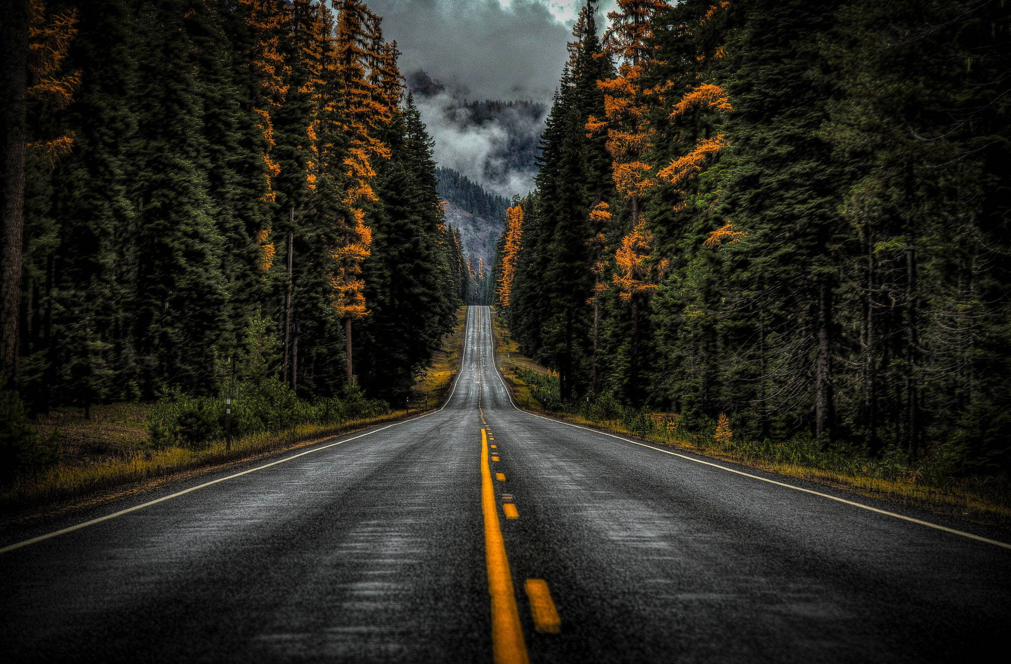 Washington Eyalet Yolu 410 Duvar Kağıdı