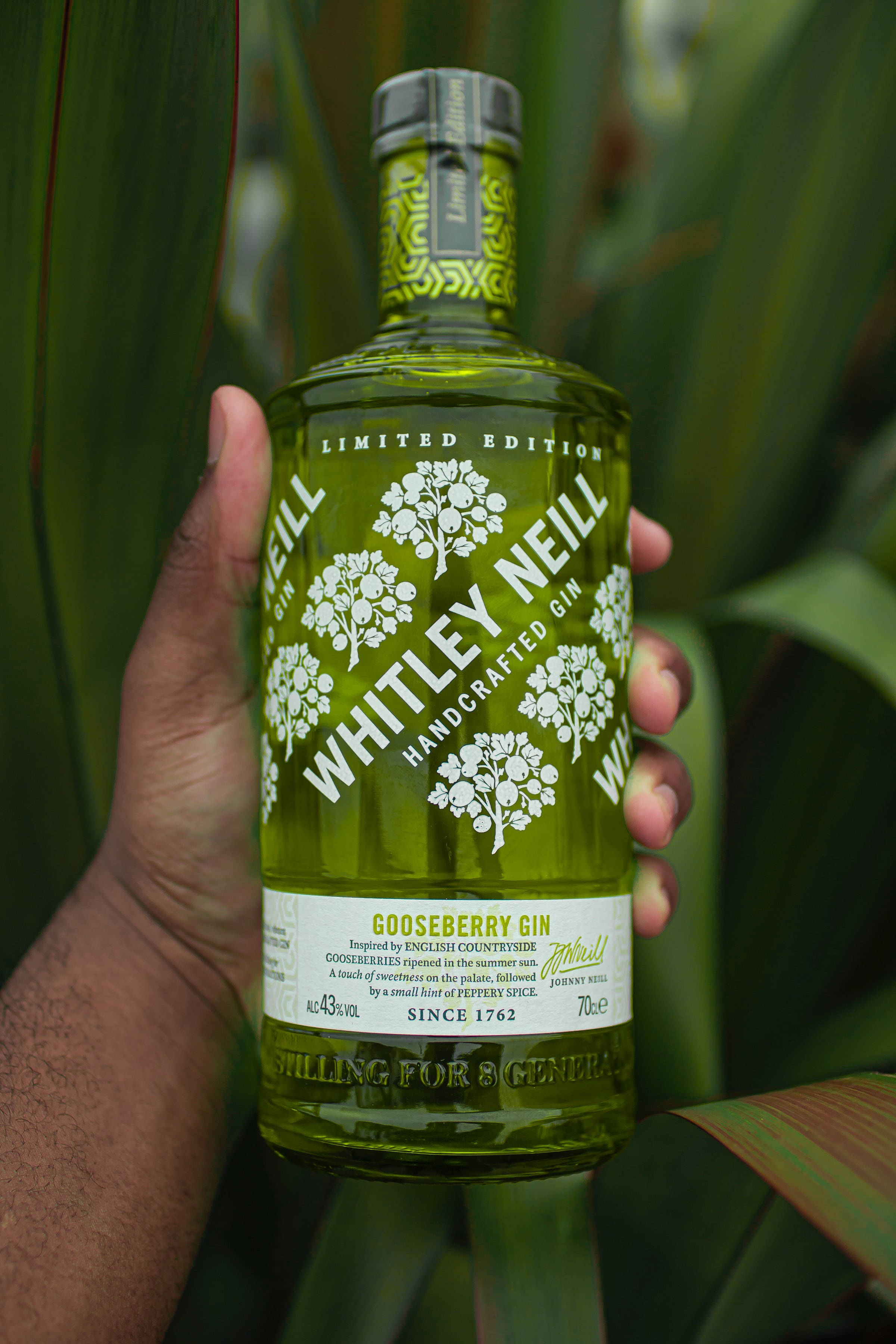 Whitley Neill Cin Duvar Kağıdı